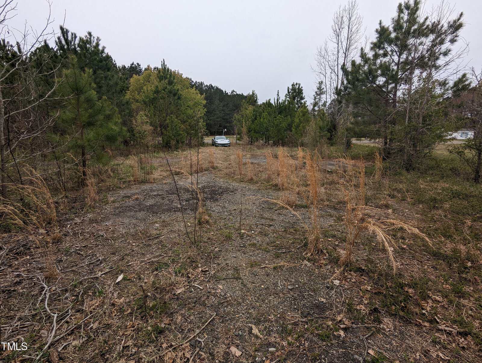 A gravel path winds through overgrown grass and sparse vegetation at 1190 Adams Mountain Road, surrounded by trees. In the distance, beneath a cloudy sky, a car sits parked, hidden like a secret in the landscape's embrace.