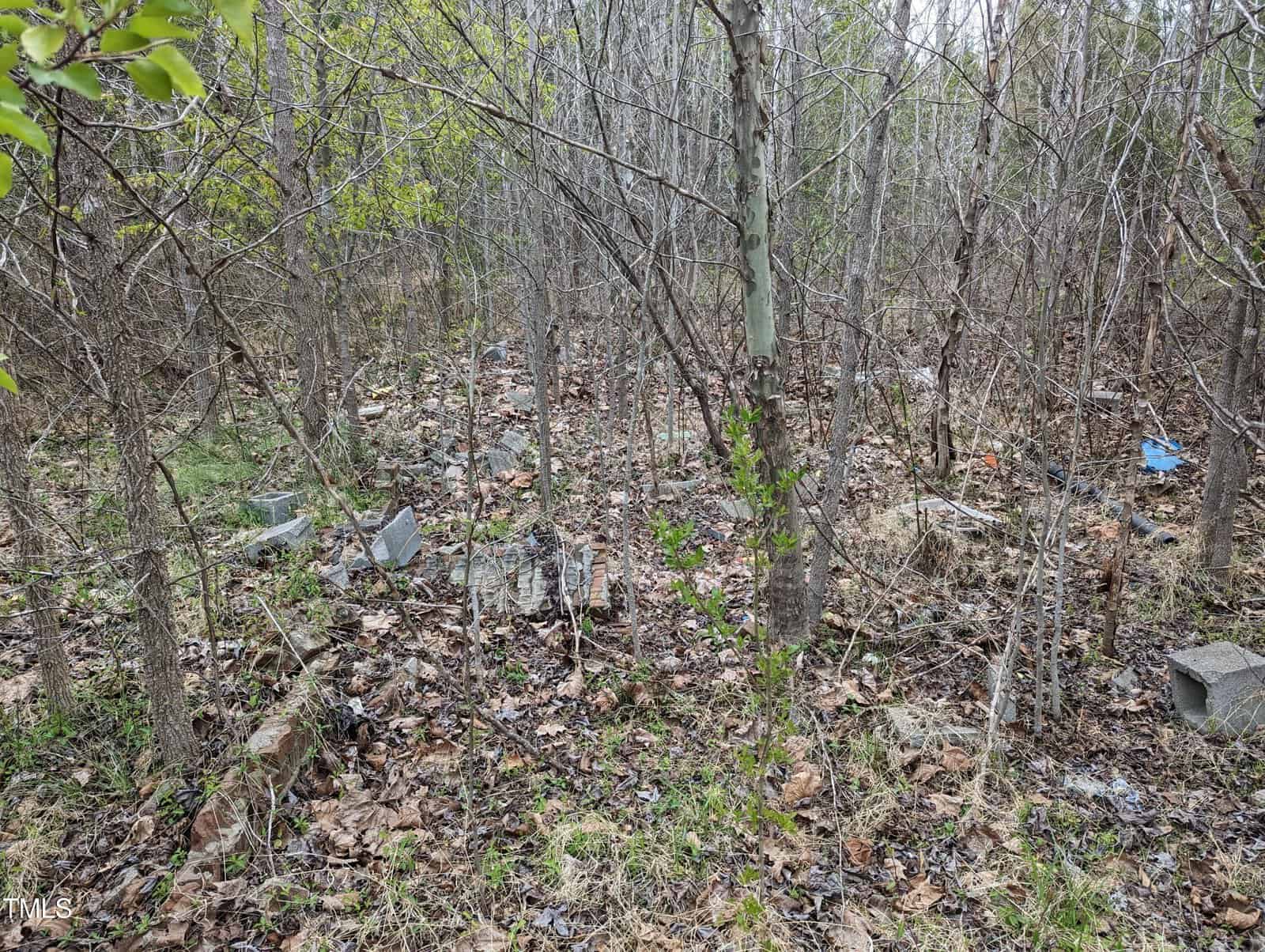 A cluttered forest area with bare trees and scattered debris, including concrete blocks and litter. Thin grass and dry leaves cover the forest floor, with some green foliage visible. Sparse light filters through the branches.