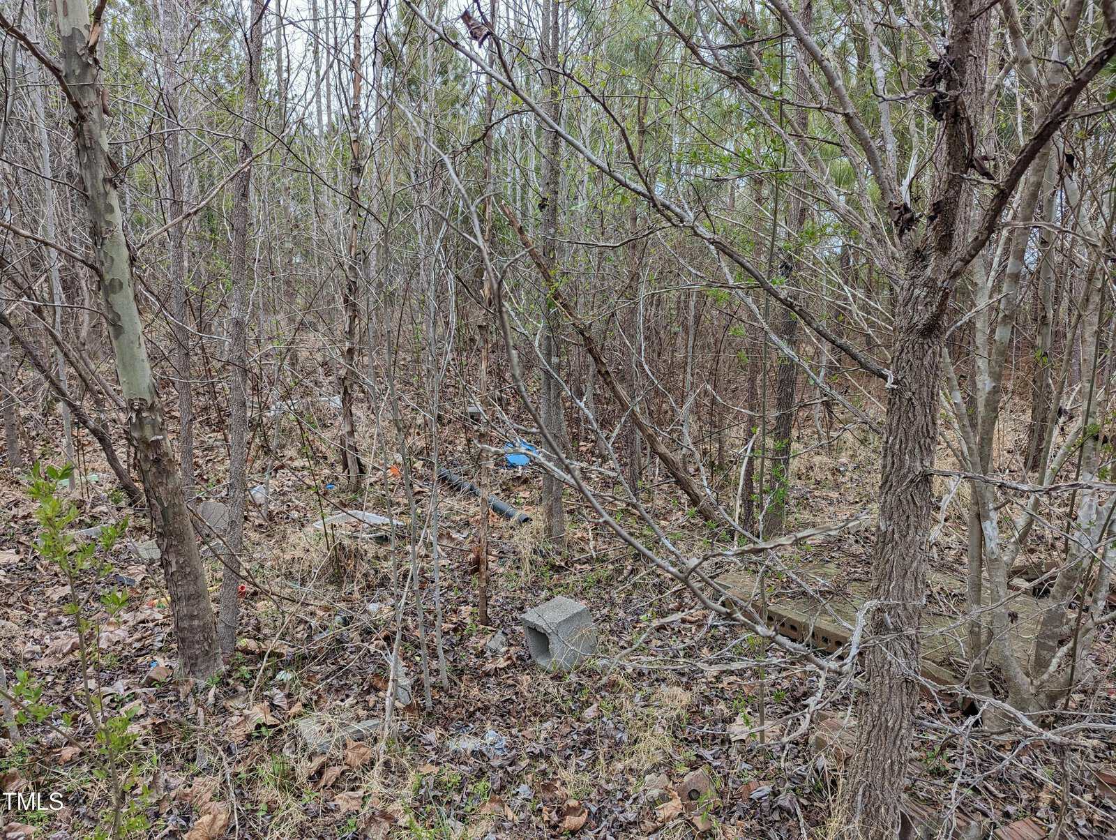 A wooded area with dense, leafless trees, showing scattered debris including bricks and plastic materials on the ground. The forest floor is covered with dry leaves and branches.