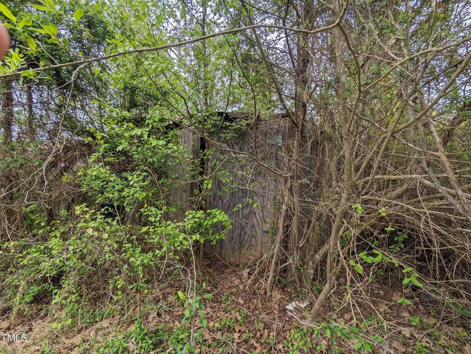 An old, weathered wooden shed is partially hidden among overgrown trees and bushes, with leaves and branches surrounding it densely, creating a secluded, abandoned appearance.