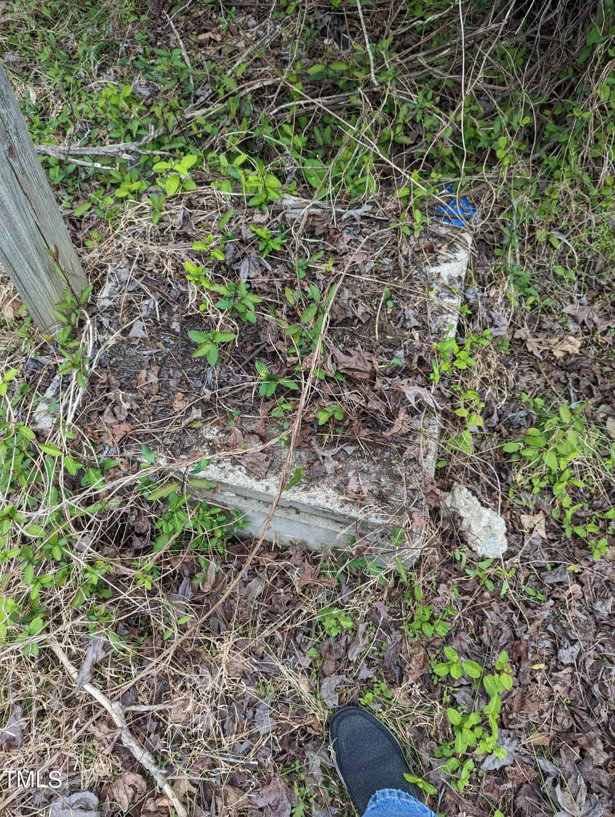 A small concrete slab is partially covered with dry leaves and surrounded by green vegetation. A person's foot in a black shoe is visible at the bottom of the image.