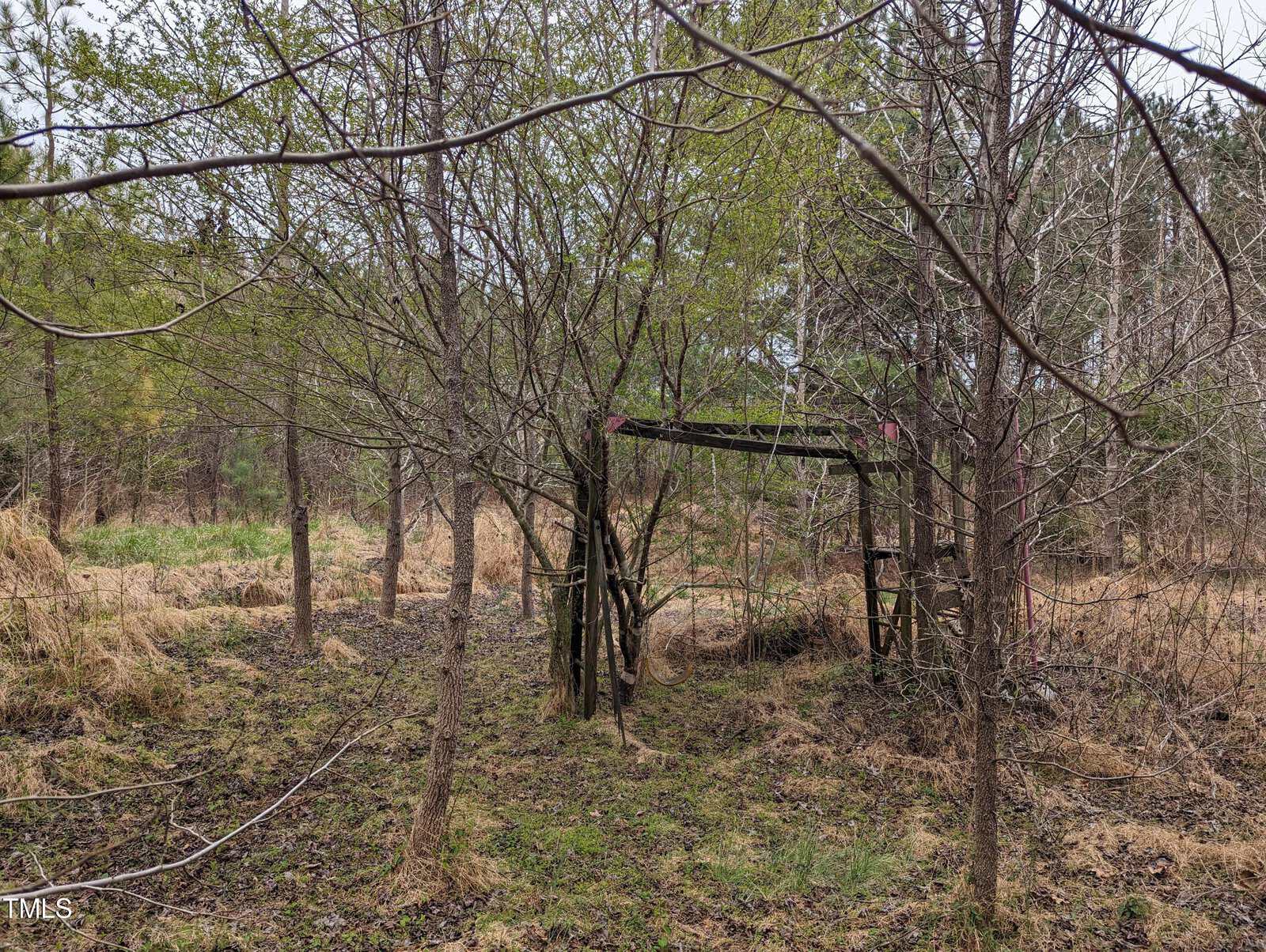 A rustic, weathered gazebo stands amid a dense, overgrown forest. Bare trees and lush foliage encircle the wooden structure, with patches of green grass and dry leaves covering the forest floor. The scene conveys a sense of forgotten tranquility.
