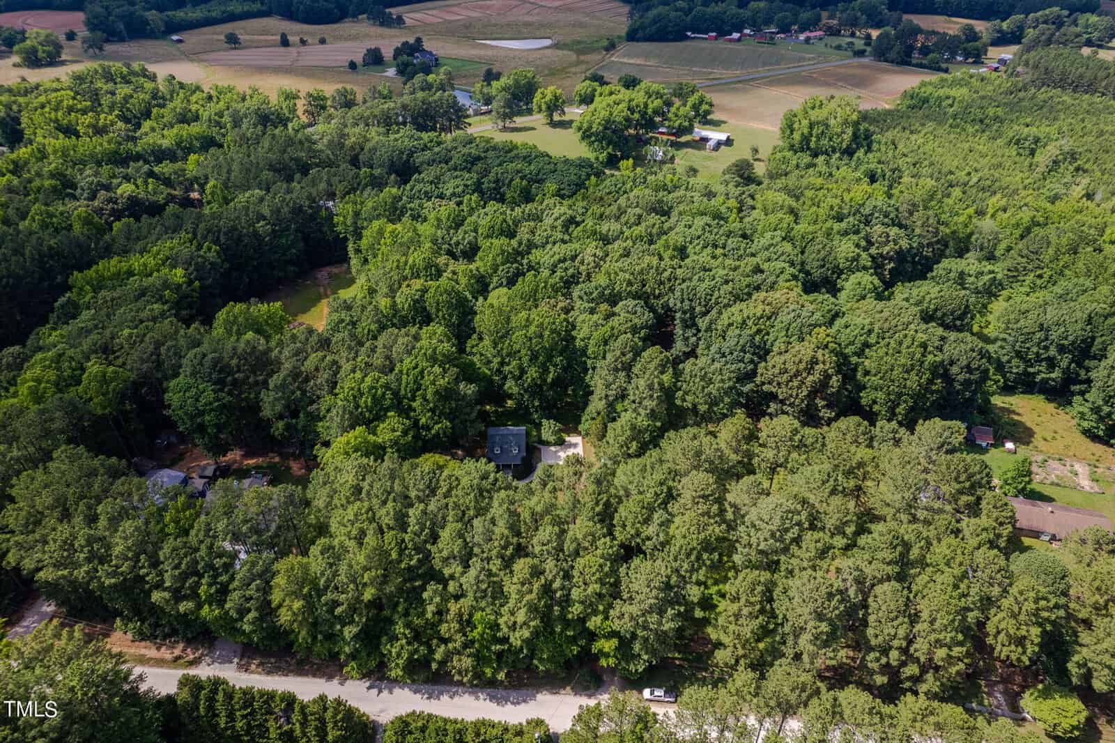 Aerial view of a lush green forest with a few scattered houses. A winding road runs through the lower part of the image. Farmlands and open fields are visible in the background under a clear sky.