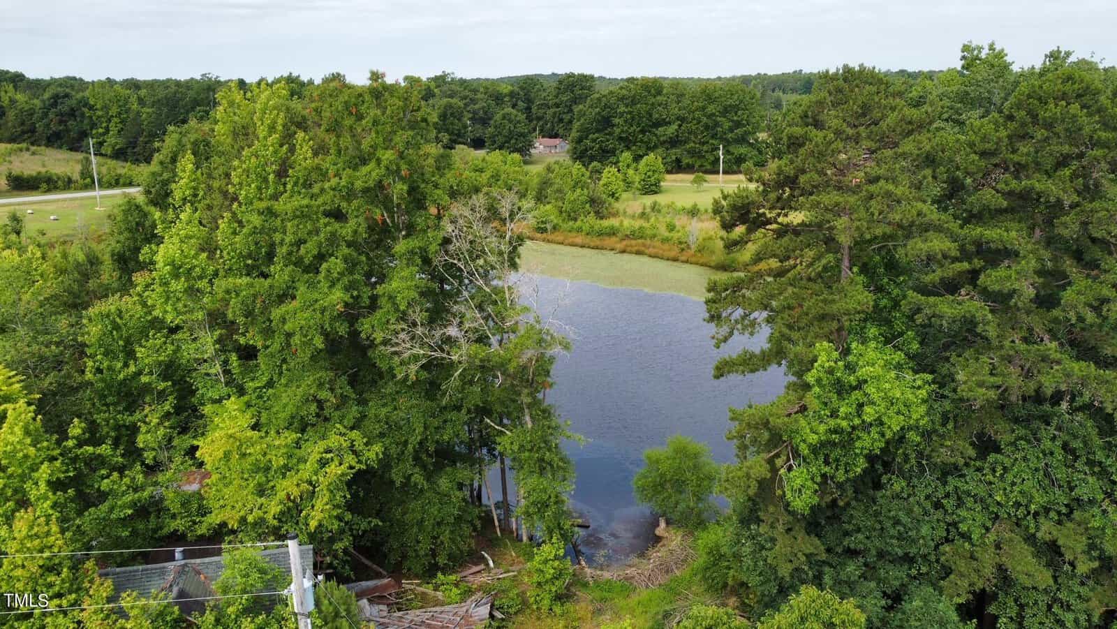 A small lake surrounded by dense green trees on a sunny day. A grassy field and a house are visible in the background. The foreground includes some fallen branches and a patch of clear water near the trees.