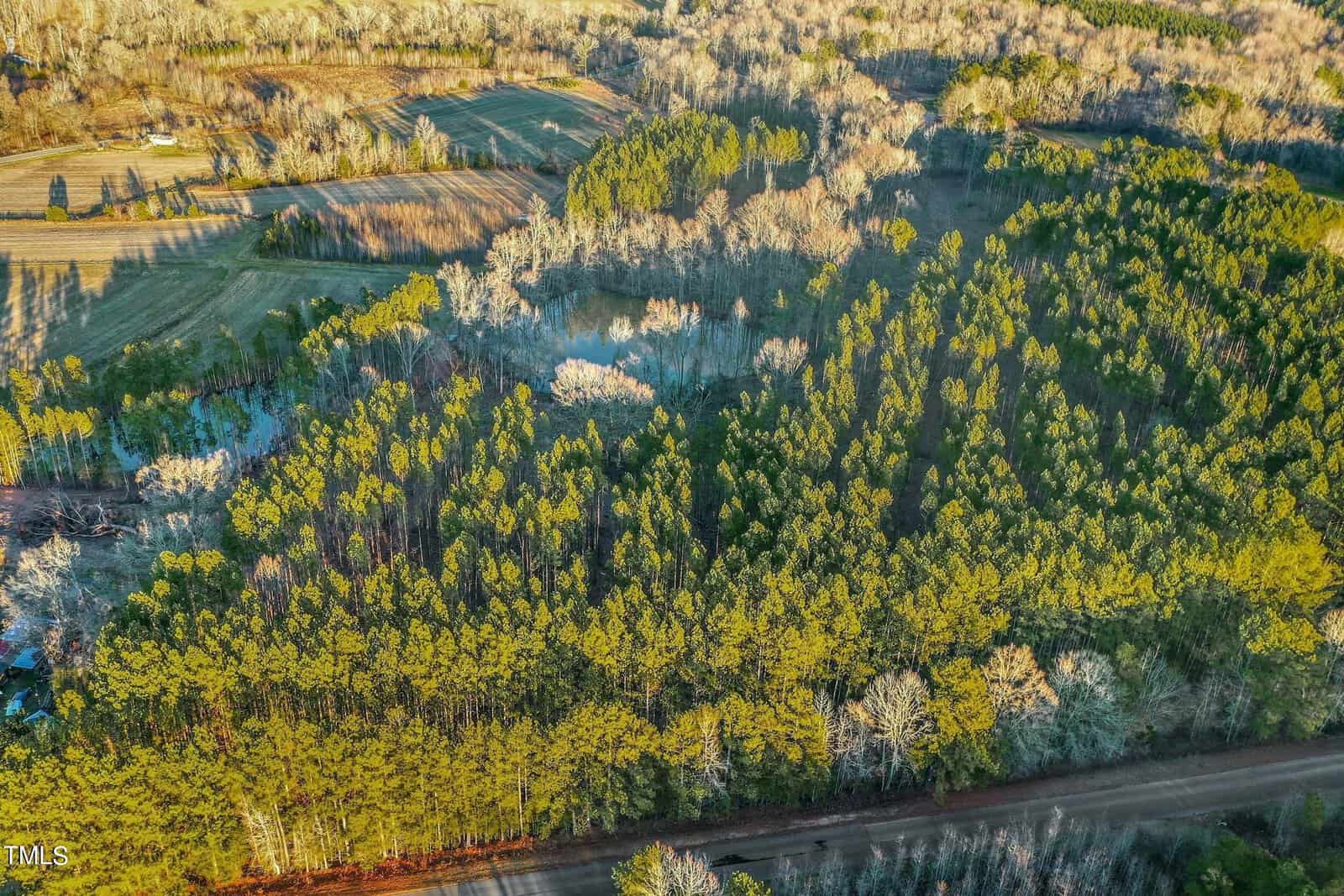 Aerial view of Bob Daniel Road Lot 9 in Oxford reveals a forested area with dense green pine trees and surrounding bare deciduous trees. A dirt road meanders through the foreground, while fields with sparse vegetation are visible in the background, showcasing nature's serene beauty.