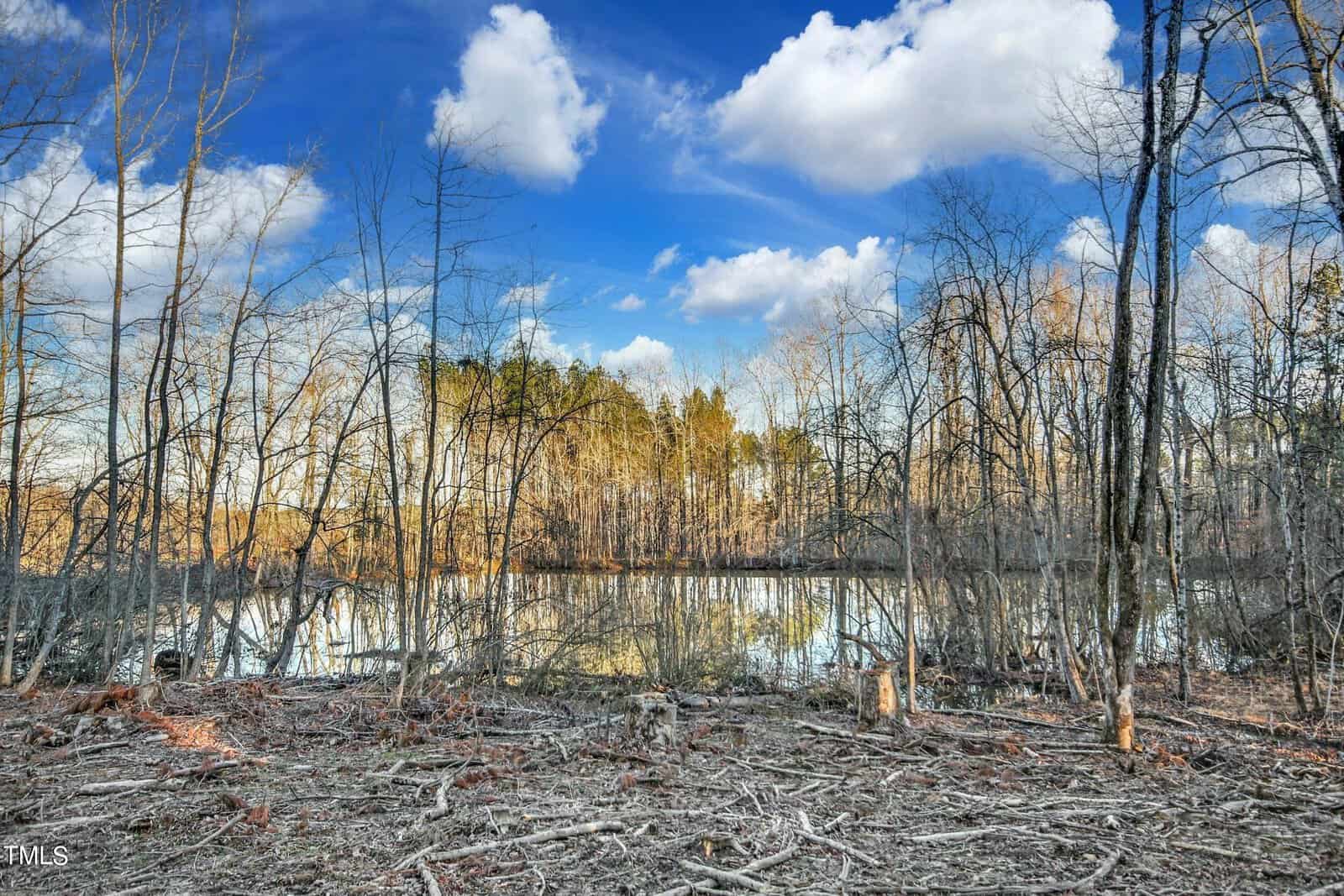 A serene landscape featuring a reflective lake bordered by leafless trees under a bright blue sky with scattered clouds. The foreground shows a forest floor of fallen branches and dried leaves.