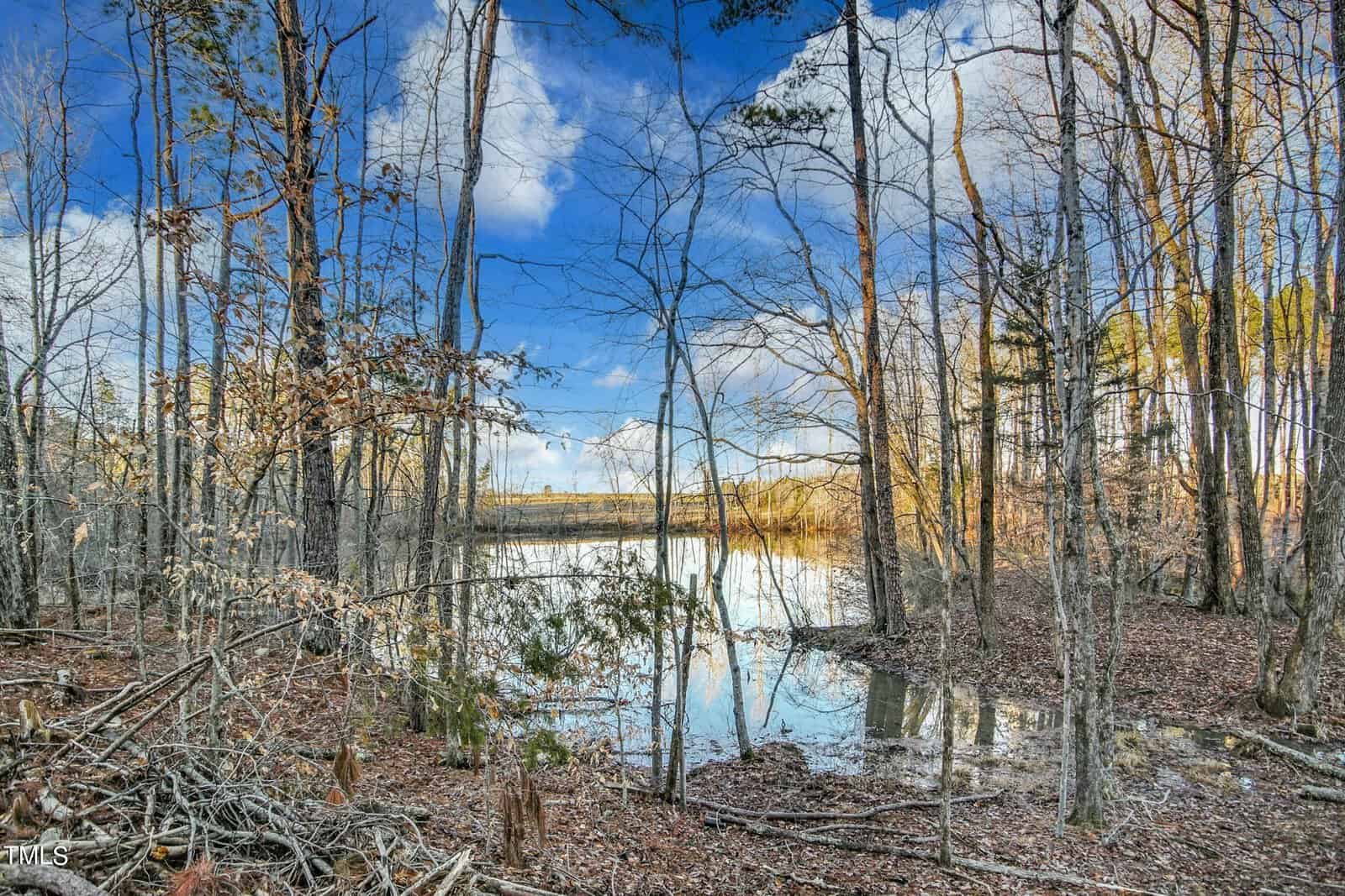 A serene forest scene with bare trees surrounding a reflective lake. The sky is clear and blue, dotted with fluffy white clouds. The sun illuminates parts of the trees and ground, creating a peaceful autumn atmosphere.