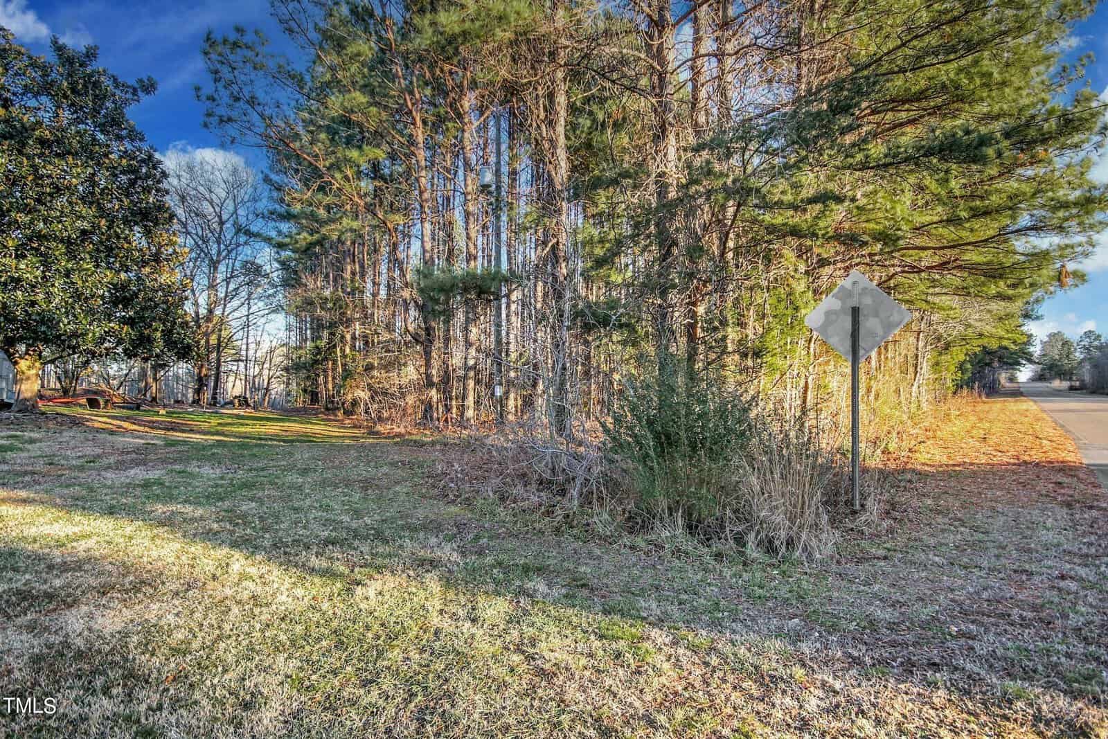 A scenic view of a quiet rural road lined with tall trees on a clear day. Sunlight filters through the branches, and a blank road sign stands beside the road. A grassy area with bushes is visible in the foreground.