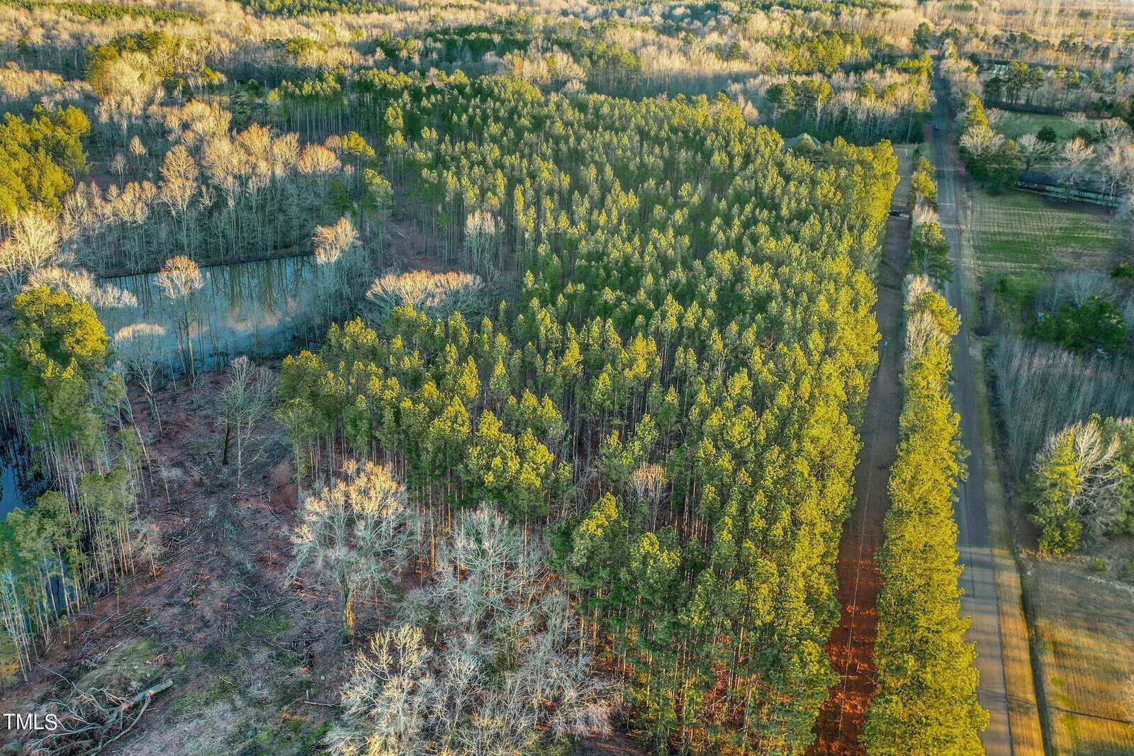 Aerial view of a forested area with dense green trees, transitioning into sparsely wooded land. A road runs alongside, bordered by fields and scattered trees. The sun casts long shadows, highlighting the natural landscape.