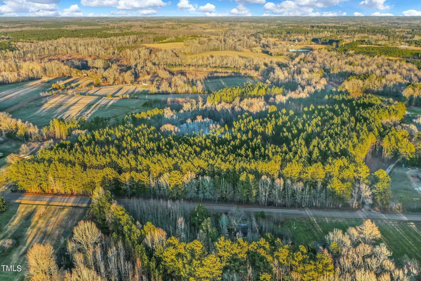 Aerial view of a lush green forest surrounded by open fields under a partly cloudy sky. A road cuts through the lower part of the forest, with sunlight casting long shadows from the trees.
