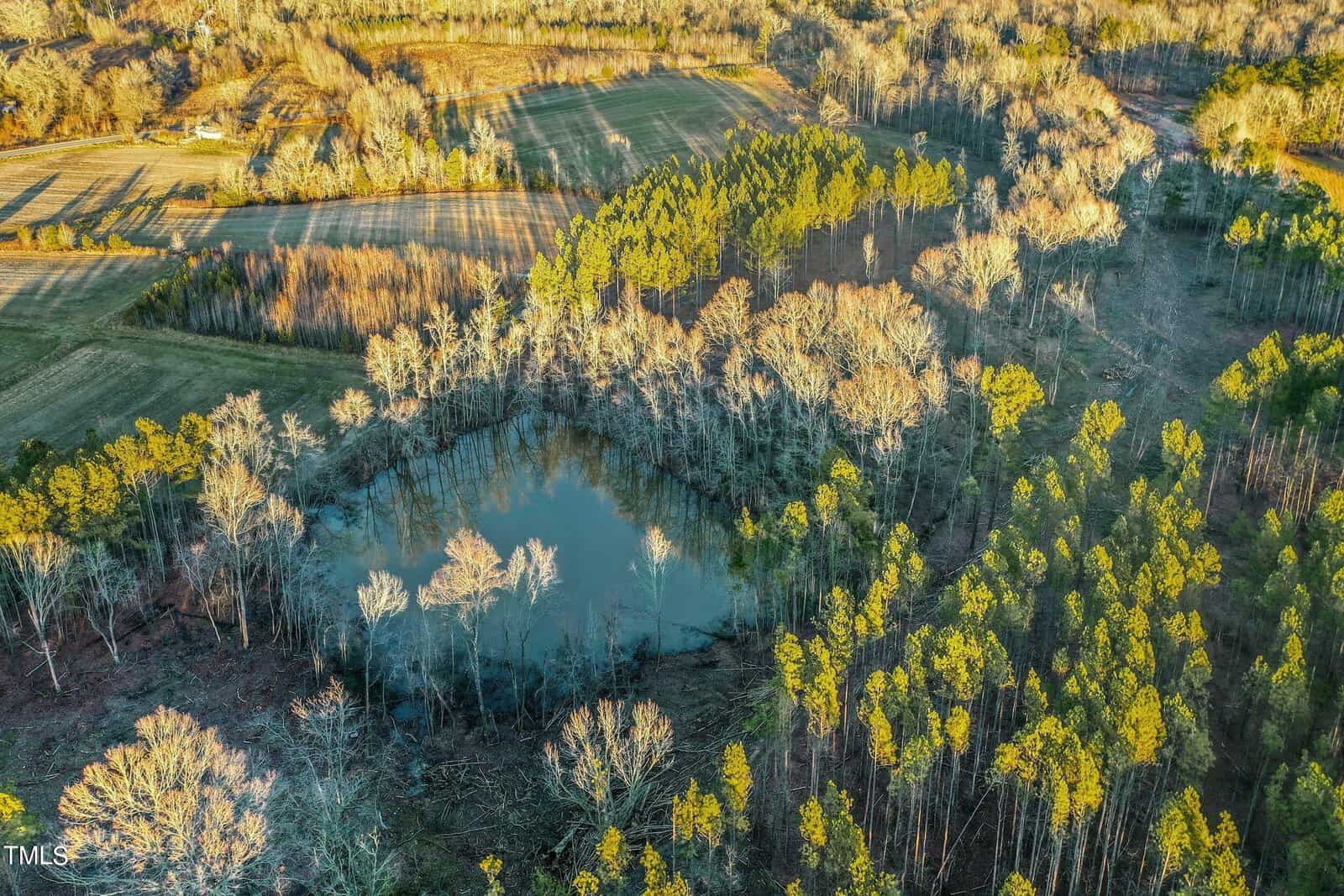 Aerial view of a landscape with a pond surrounded by autumn trees. Open fields and dense forests stretch across the scene, with sunlight casting long shadows on the ground.