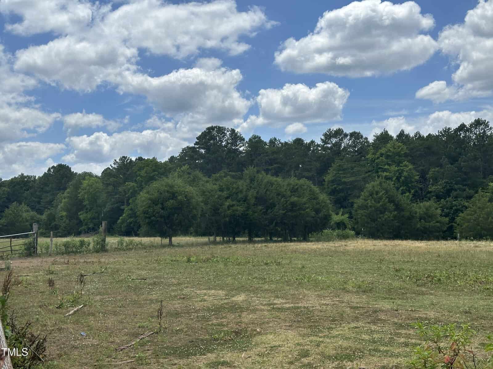 A grassy field with scattered trees under a partly cloudy sky. A wooden fence is visible on the left, and a dense line of trees borders the background.