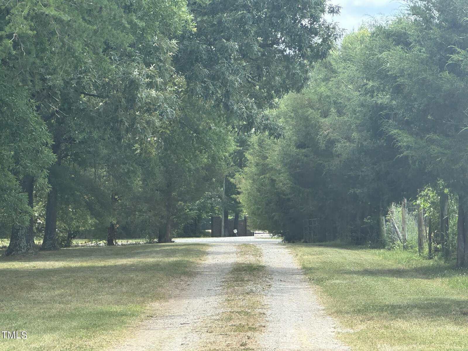 A peaceful rural scene with a dirt road lined by tall, lush trees on both sides. The road extends into the distance, framed by greenery and dappled sunlight filtering through the branches.