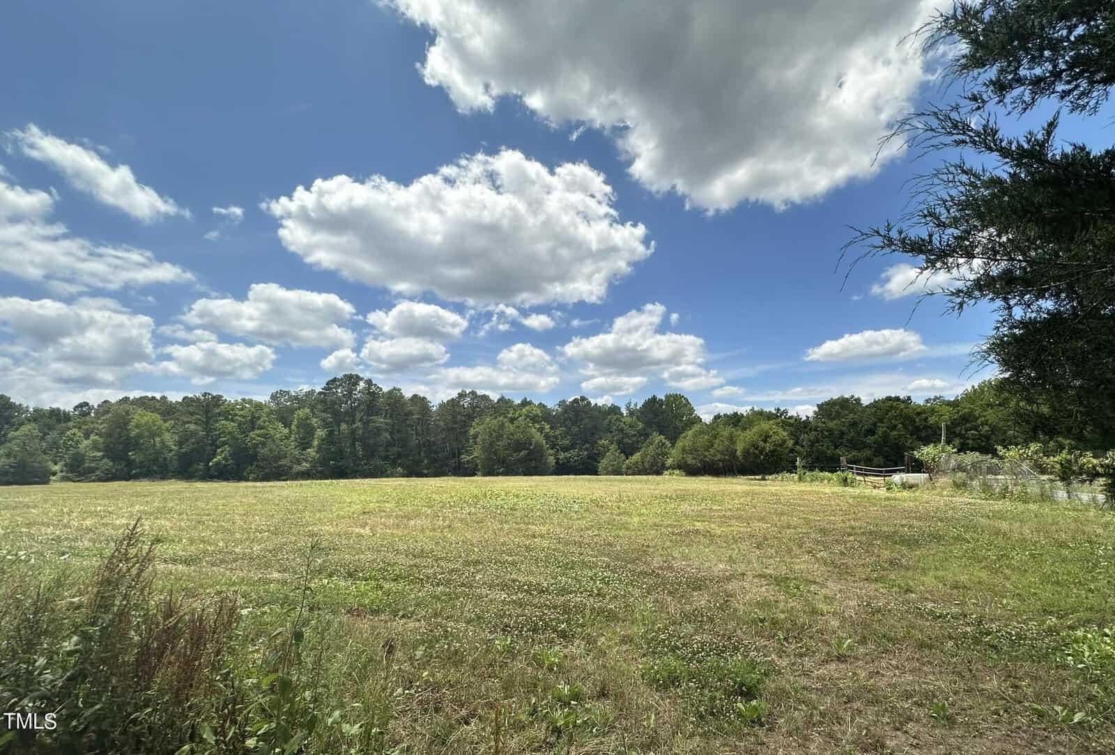 A vast grassy field under a blue sky dotted with fluffy clouds. Forested trees line the horizon.