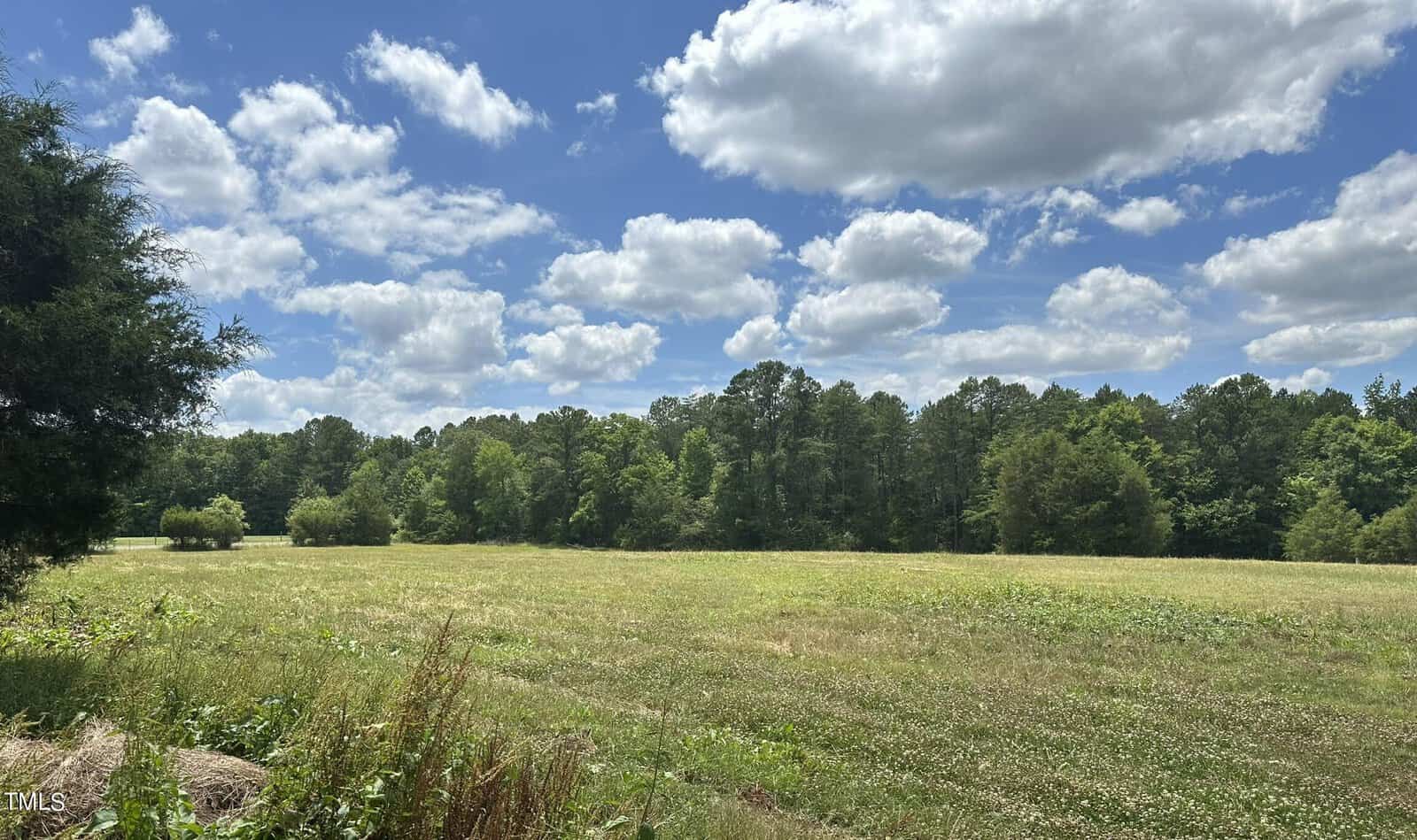 A vast grassy field under a blue sky filled with fluffy white clouds. The field is bordered by a dense line of green trees. The scene is sunny, capturing the essence of a peaceful, rural landscape.