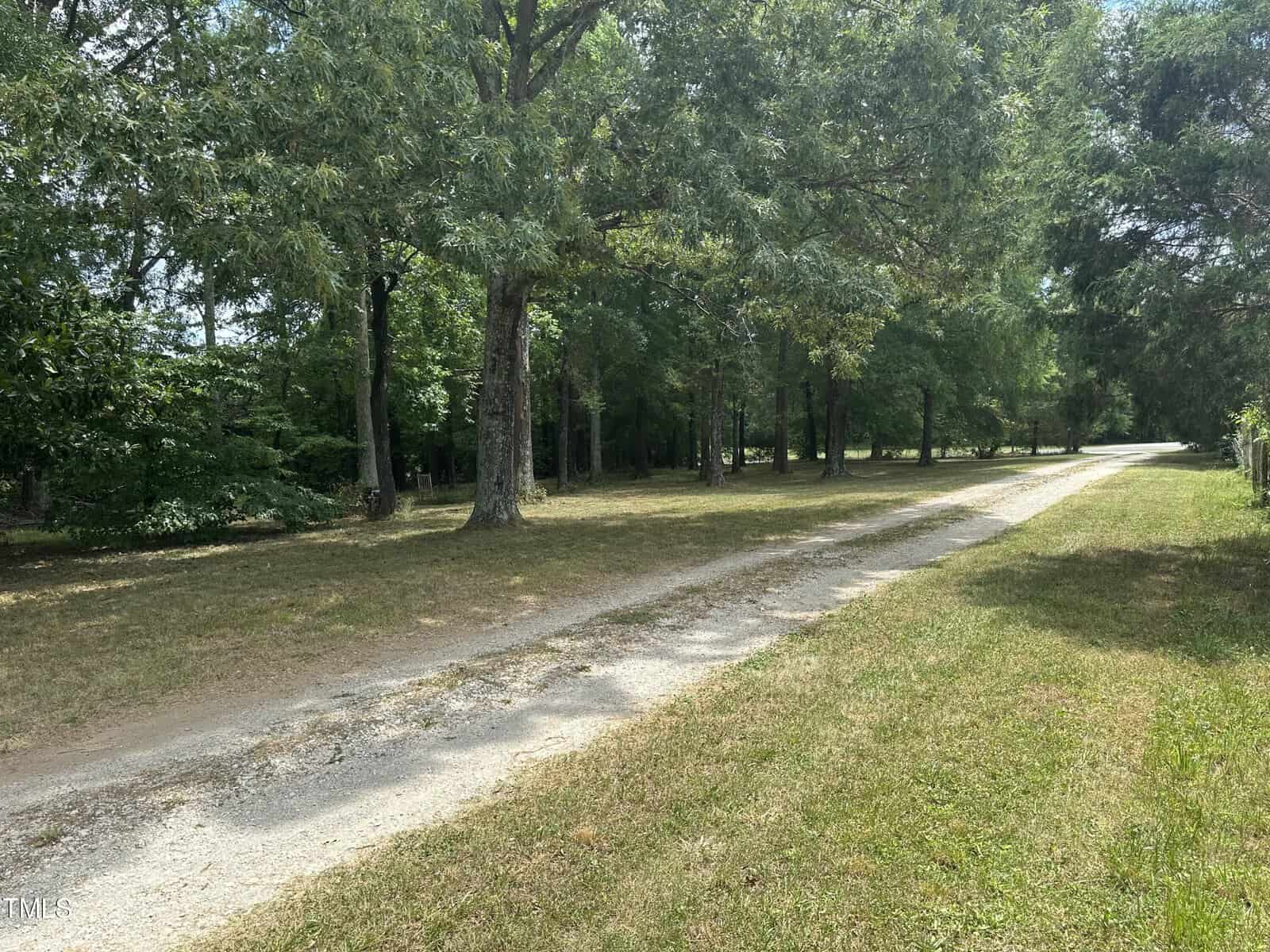 A dirt path winds through a peaceful, green landscape bordered by tall trees under a clear sky. Sunlight filters through the leaves, casting dappled shadows on the ground. Grass lines the edges of the path, hinting at a serene, natural setting.