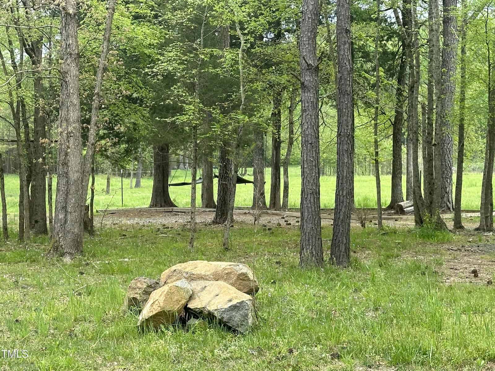 A serene forest scene with scattered trees and patches of green grass. Large rocks are located in the foreground, and the background shows a grassy field with hints of sunlight filtering through the trees.
