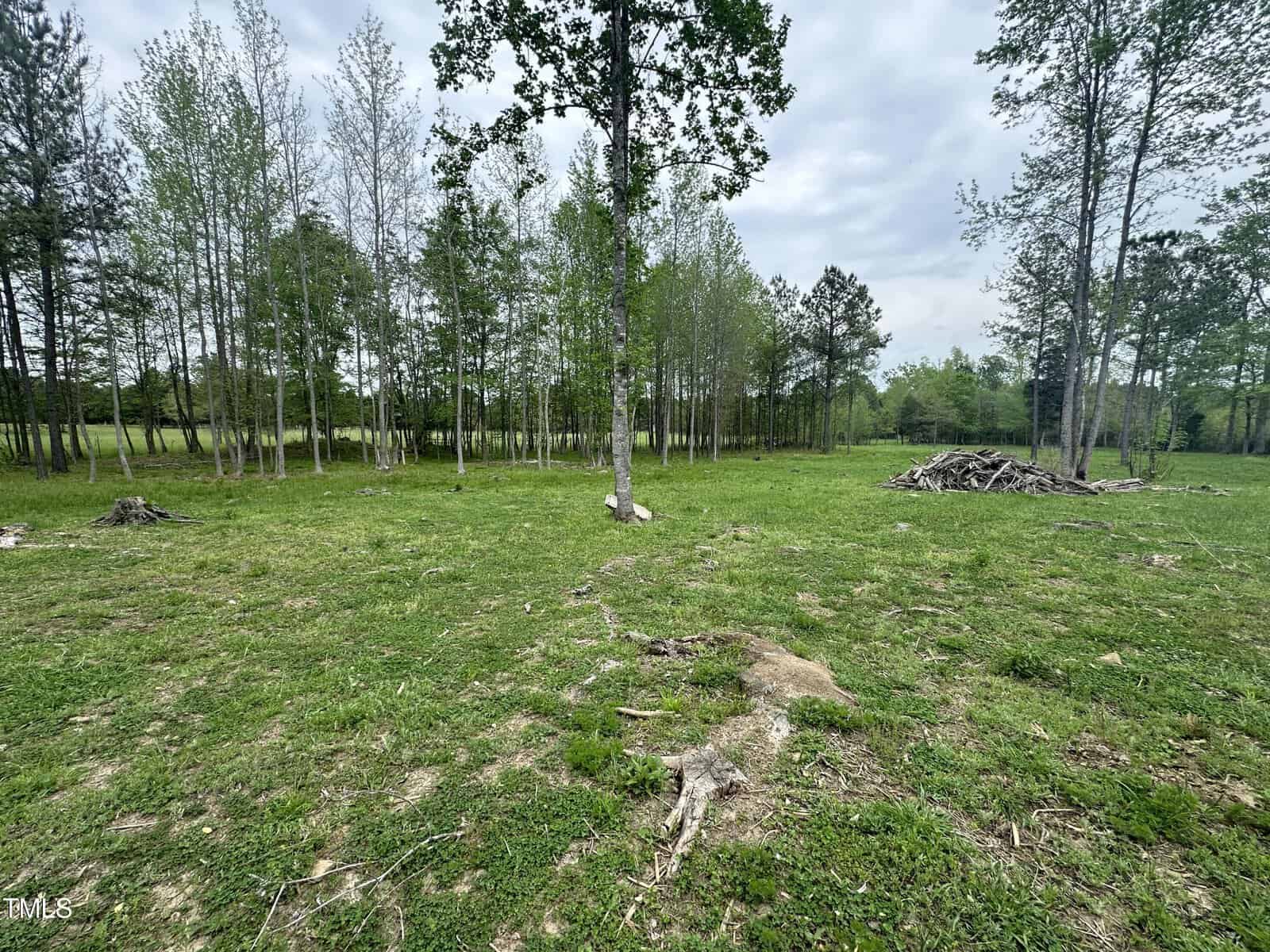 A serene landscape with a grassy field and scattered tree trunks. Tall trees border the area under a partly cloudy sky. Small piles of branches are visible, suggesting recent clearing.