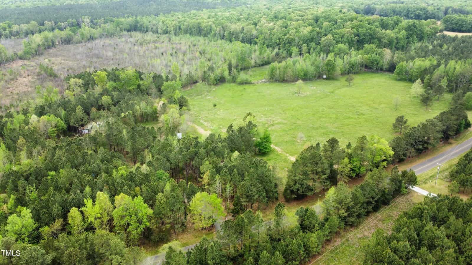 Aerial view of a lush, green landscape with dense trees surrounding an open grassy field. A road runs alongside the area, with forest extending beyond. The setting appears calm and serene, capturing the variety of natural greenery.