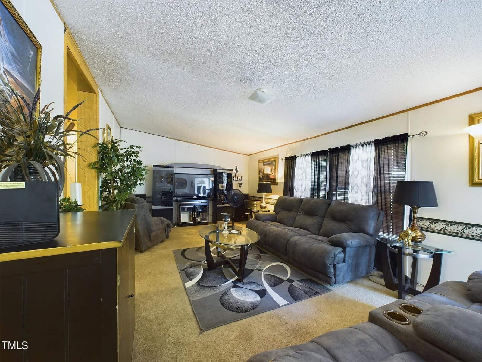 Living room with carpeted floor, featuring two gray sofas, a glass coffee table, and a TV in an entertainment center. The walls are decorated with art, and there are several houseplants. Black and white curtains cover the windows, adding contrast.