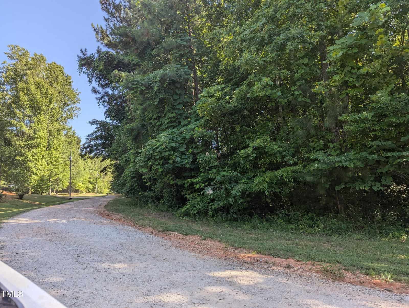 A gravel road curves through a wooded area near 2560 Homestead Drive, with dense green foliage on a sunny day. Tall trees line the Oxford path, and the clear blue sky is visible above, enhancing the worn grass trail running alongside.