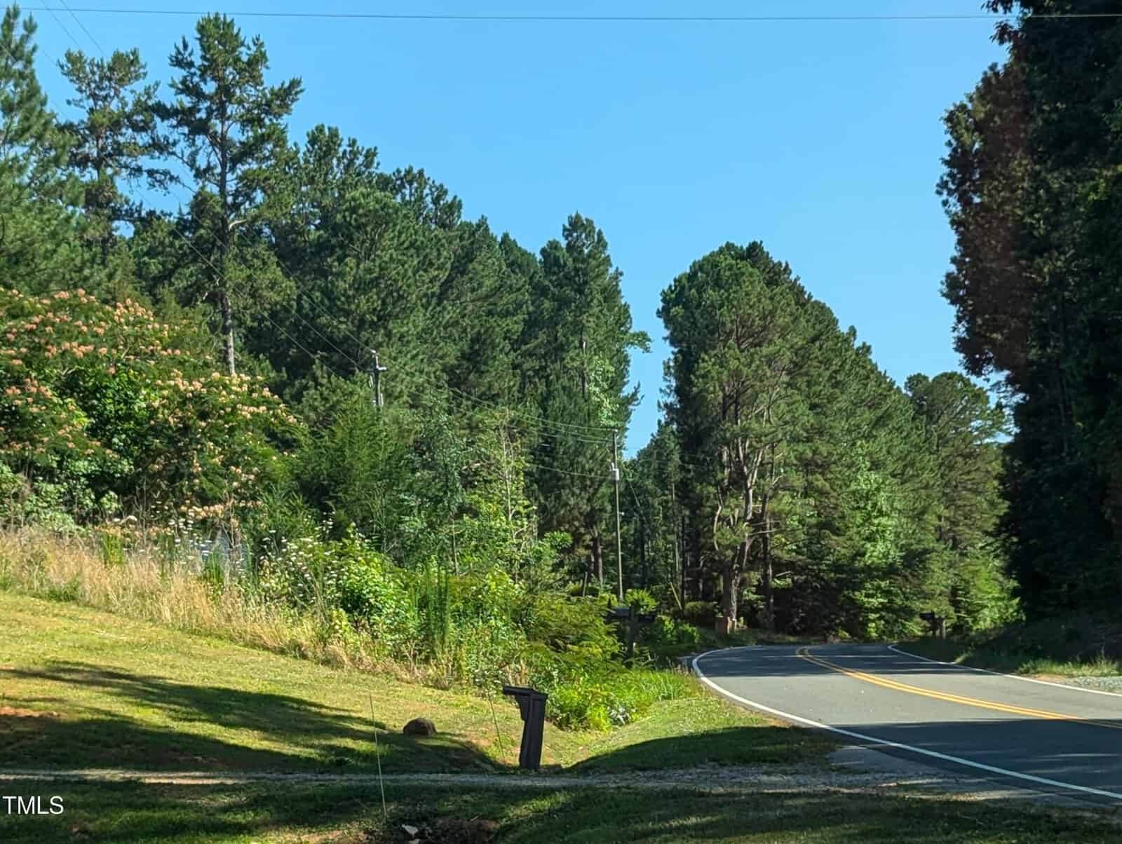 A road curves through a wooded area with tall trees and lush greenery on both sides. The sky is clear and blue, and utility poles line the left side of the road. A mailbox stands near the road's edge in the foreground.