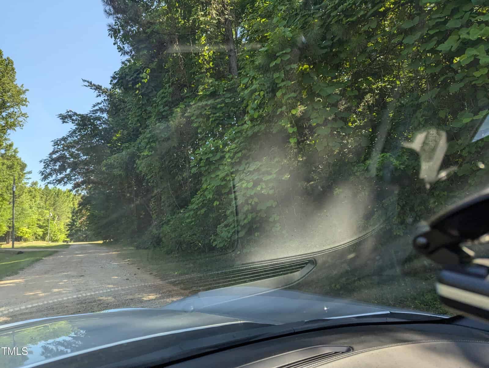 View from inside a car showing a gravel road bordered by lush green trees on a sunny day. The car dashboard and part of the windshield are visible, with sunlight casting a glare on the glass.