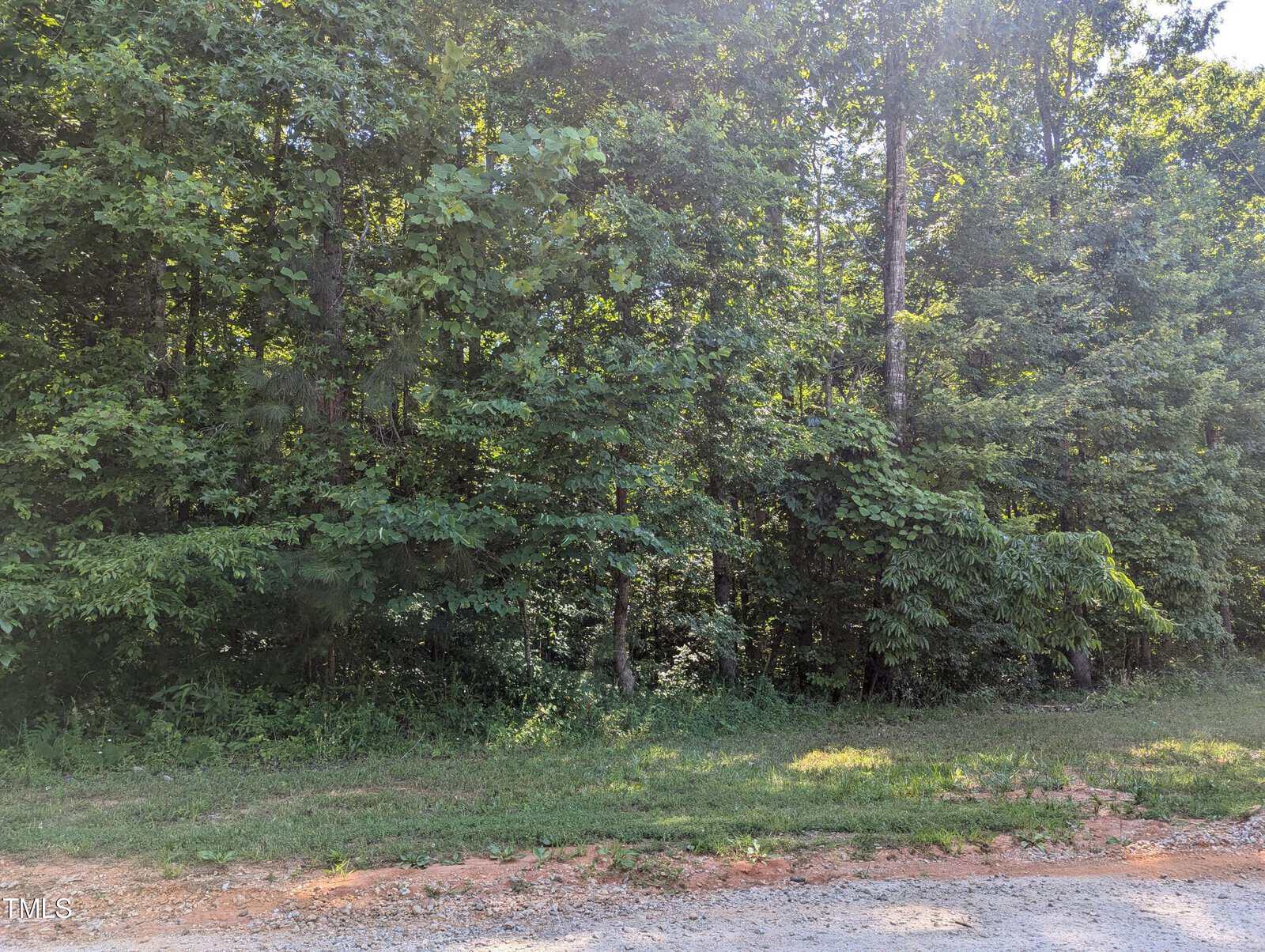 A dense forest with tall trees and lush greenery. The foreground features a dirt and gravel area with sparse grass. Sunlight filters through the leaves, creating patches of light and shadow on the ground.