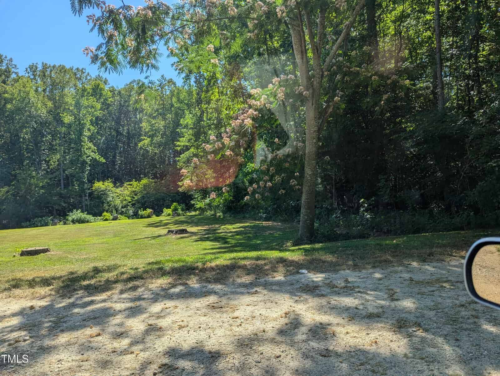 A grassy area bordered by dense trees under a clear blue sky. Sunlight filters through the branches of a tree with pink flowers, casting shadows on the ground. A car mirror is visible in the lower right corner.