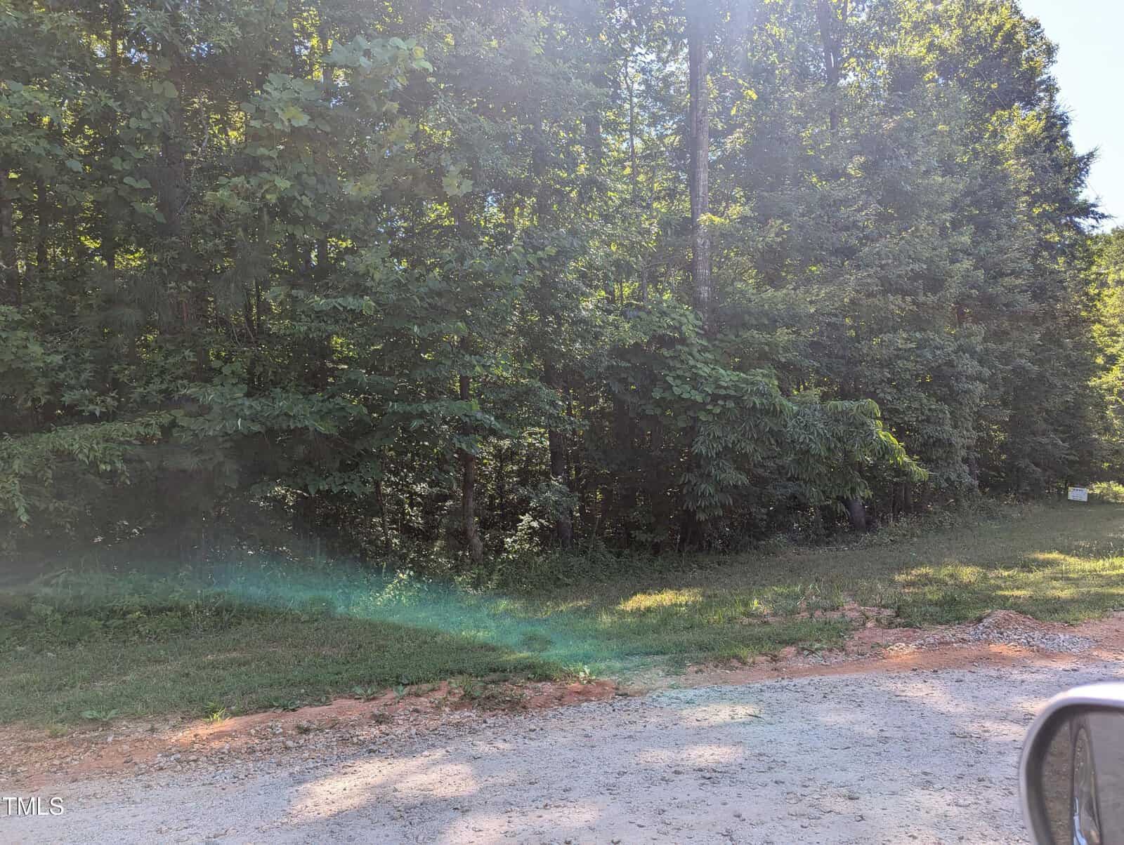 A lush wooded area can be seen with dense green foliage. The foreground shows a gravel path and a small patch of grass. Sunlight filters through the trees, casting a light beam across the scene. A small sign is visible in the distance on the right.