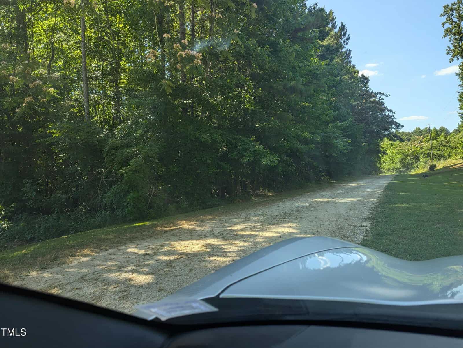 View from inside a vehicle showing a gravel road lined with dense green trees under a clear blue sky. The car's hood is visible in the foreground, and sunlight filters through the trees.
