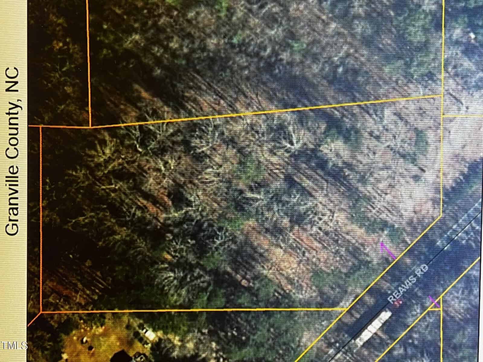 Aerial view of a wooded area in Granville County, NC. Yellow lines outline property boundaries. Reams Road runs diagonally across the bottom right, with trees casting long shadows on the land.
