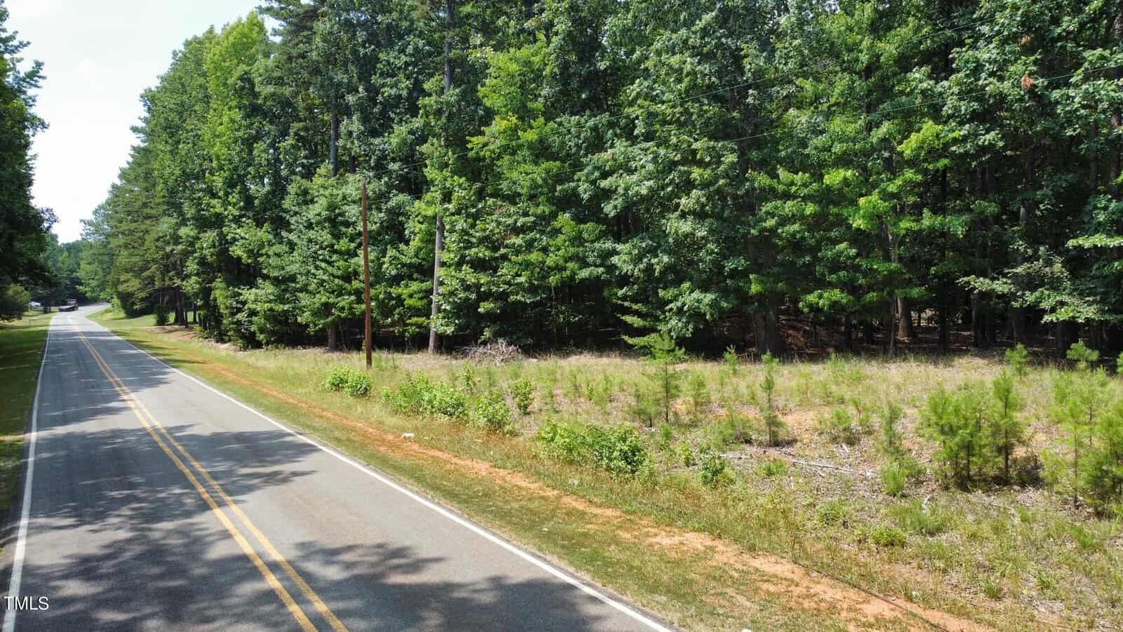 The rural stretch of 0000 Reavis Road is lined with tall trees and dense greenery on one side. A double yellow line runs down the center, and the area remains natural and quiet. With a clear sky overhead, it feels like a serene day in a quaint Oxford setting.