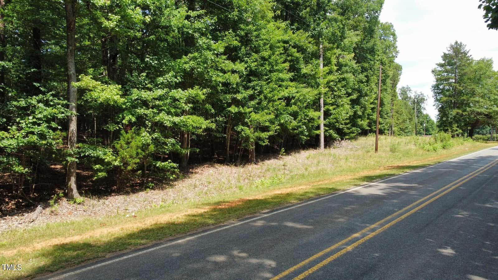 A road lined with dense green trees on the left and a grassy verge on the right. The sky is partly cloudy, and the scene is lit by daylight, suggesting a calm and quiet rural setting.