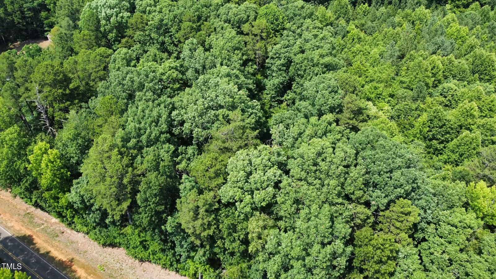 Aerial view of a dense, green forest with tall trees. A brown pathway or road is visible on the edge of the forest, contrasting with the vibrant greenery.