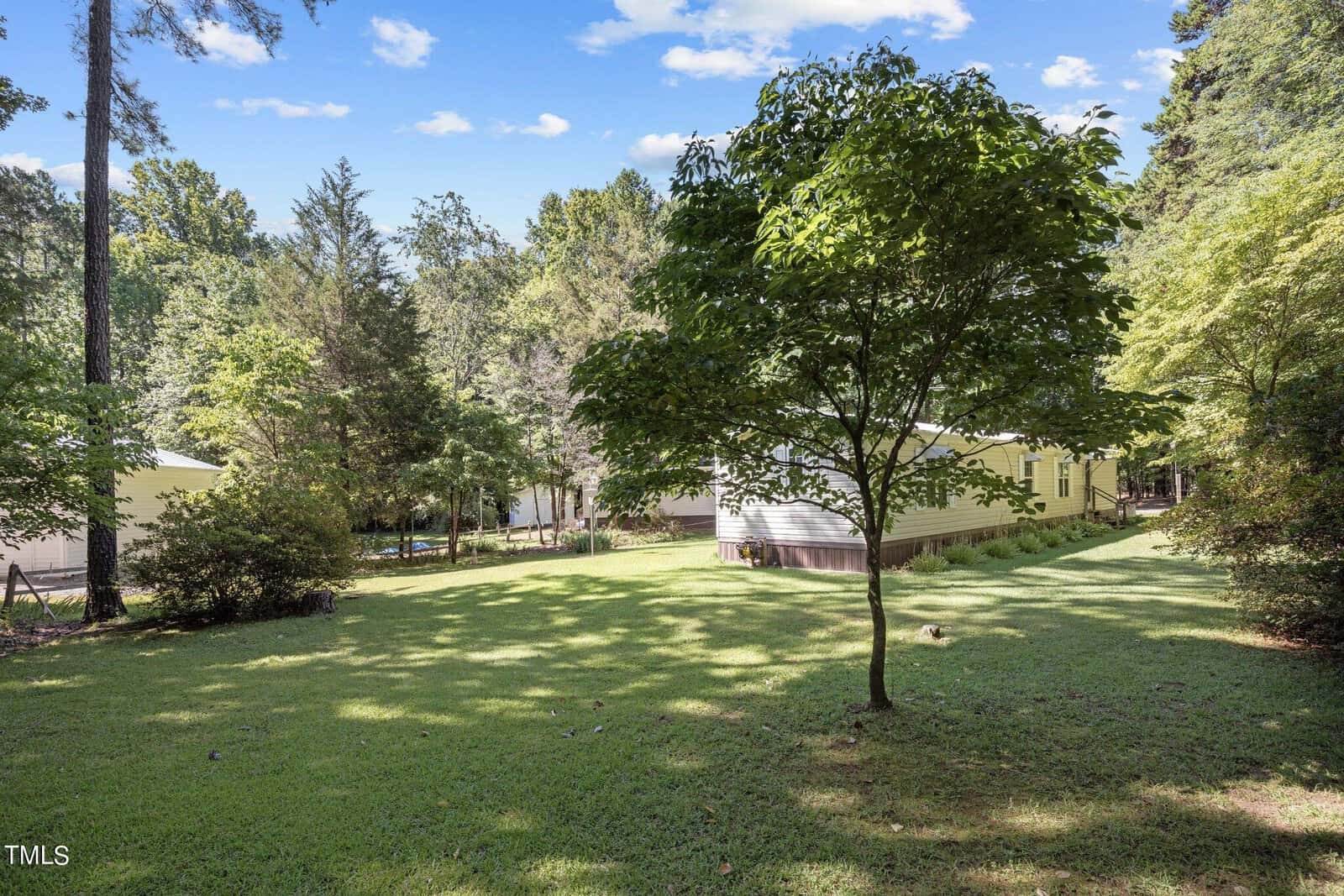A green yard with a single tree stands in front of a light-colored mobile home surrounded by dense trees and greenery. The sky is blue with scattered clouds, and the sun illuminates the scene, casting light and shadows across the grass.