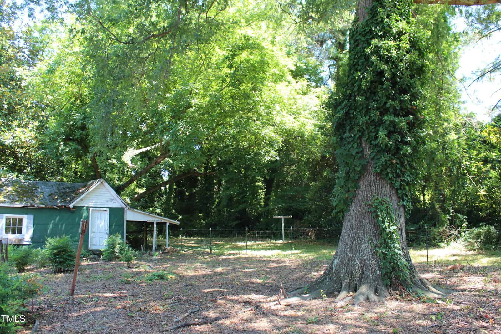 A lush backyard with a large tree covered in ivy, casting shade on the ground. There's a small green shed with a white door and windows on the left side, partly shaded by an overhanging tree. The area is partially fenced and surrounded by dense greenery.