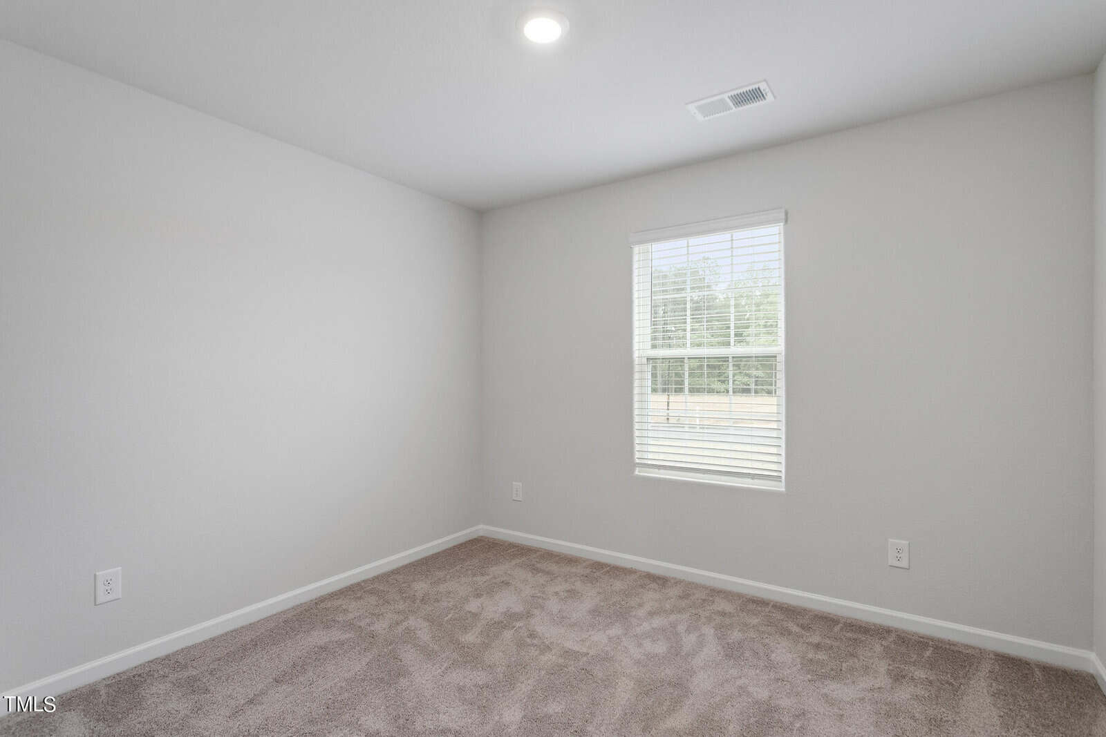 A vacant, carpeted room with light gray walls, a ceiling light, and a window with blinds. The window offers a view of greenery outside. There's an electrical outlet on the wall.