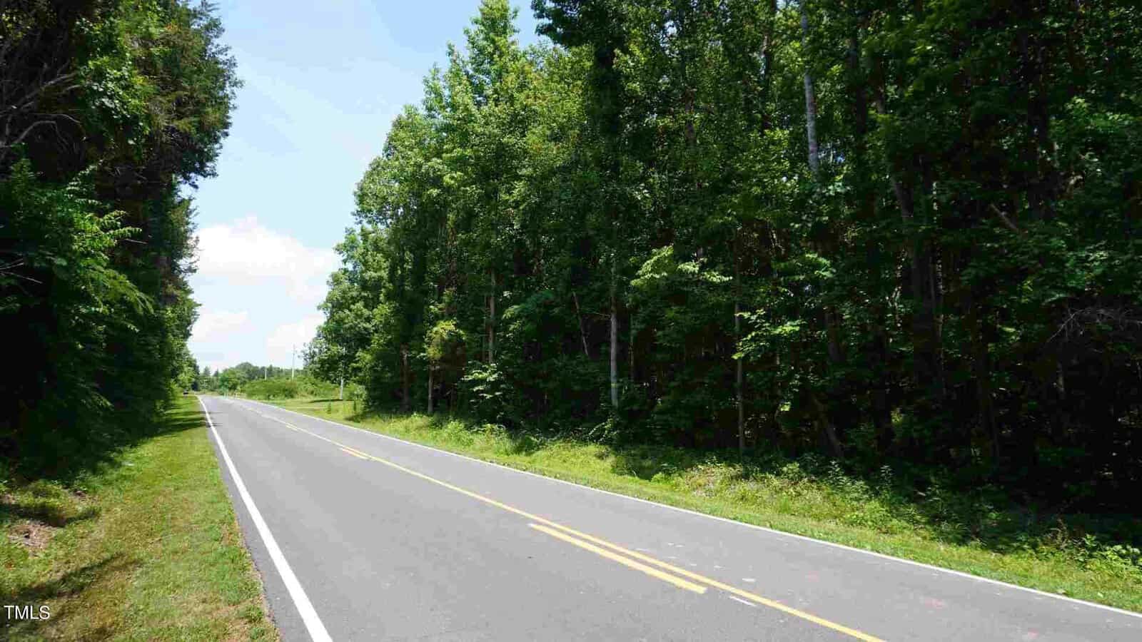 A two-lane road with yellow lines runs through a lush forest with dense, green foliage on both sides. The sky is clear and blue, providing a serene backdrop.