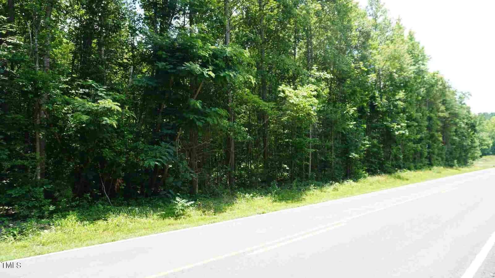 A rural road bordered by a dense line of green trees under bright daylight. The asphalt road curves slightly and has a thin grassy shoulder. The trees create a natural barrier on one side of the road.