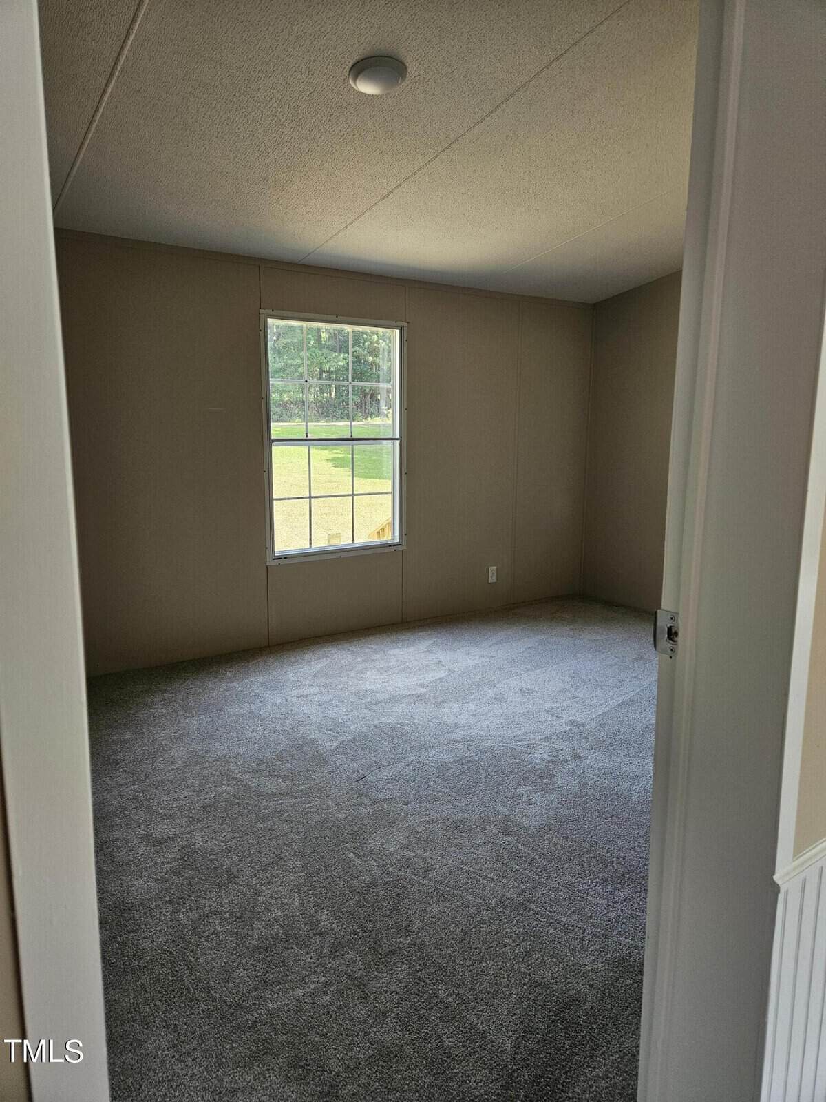 An empty room with light gray carpet and beige walls. A window on one wall offers a view of a grassy area and trees outside. The ceiling has a small round light fixture.