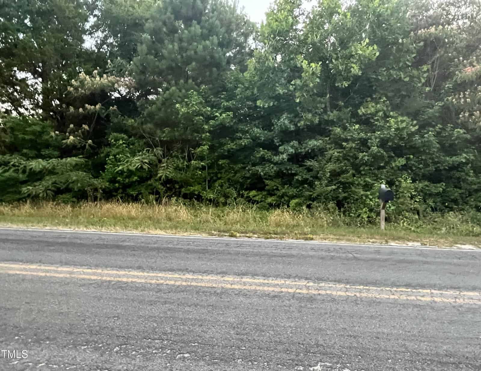 A rural two-lane road runs in front of dense green trees and bushes. A single black mailbox on a wooden post stands near the edge of the vegetation. The scene is quiet and unpopulated.