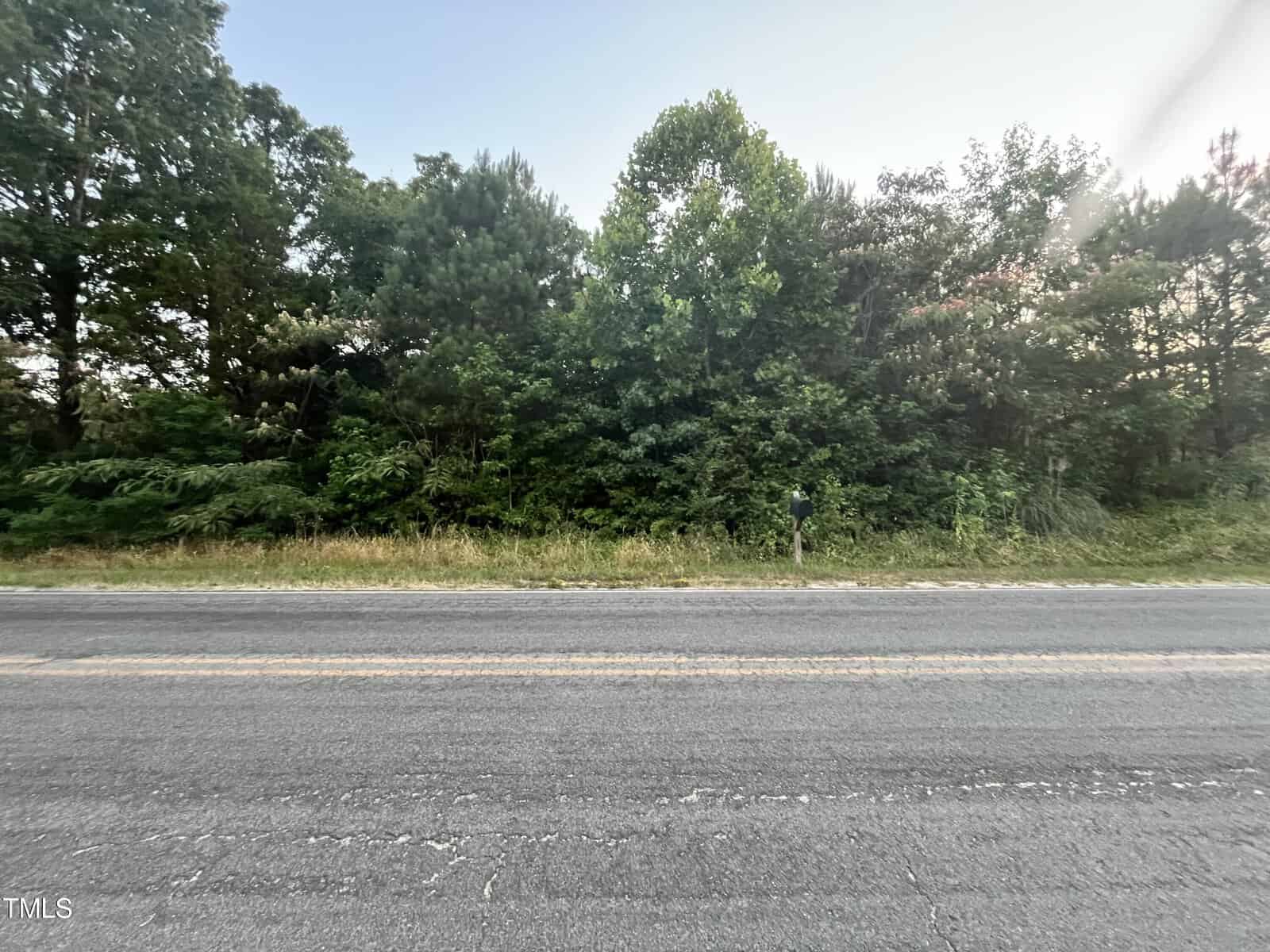 A person stands near dense green trees and shrubs on the side of an empty road, with grass lining the edge of the pavement under a clear sky.
