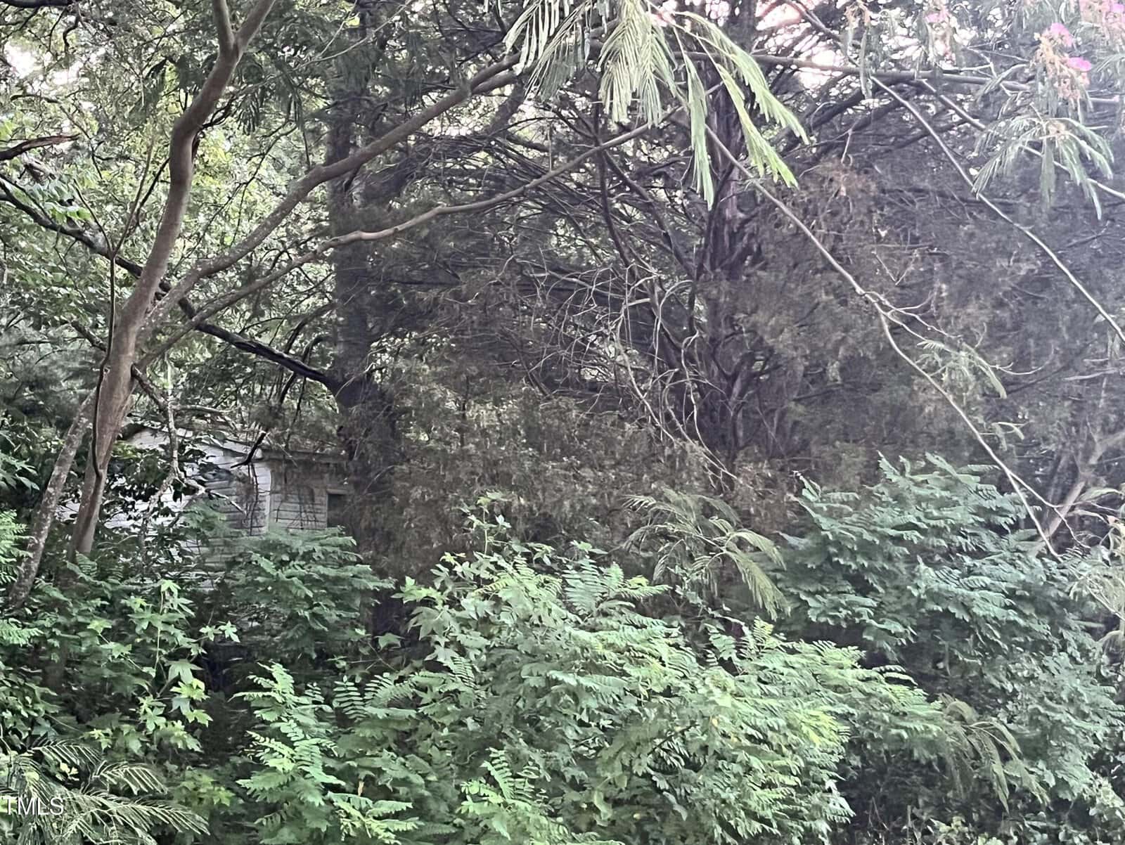 A house in the woods.