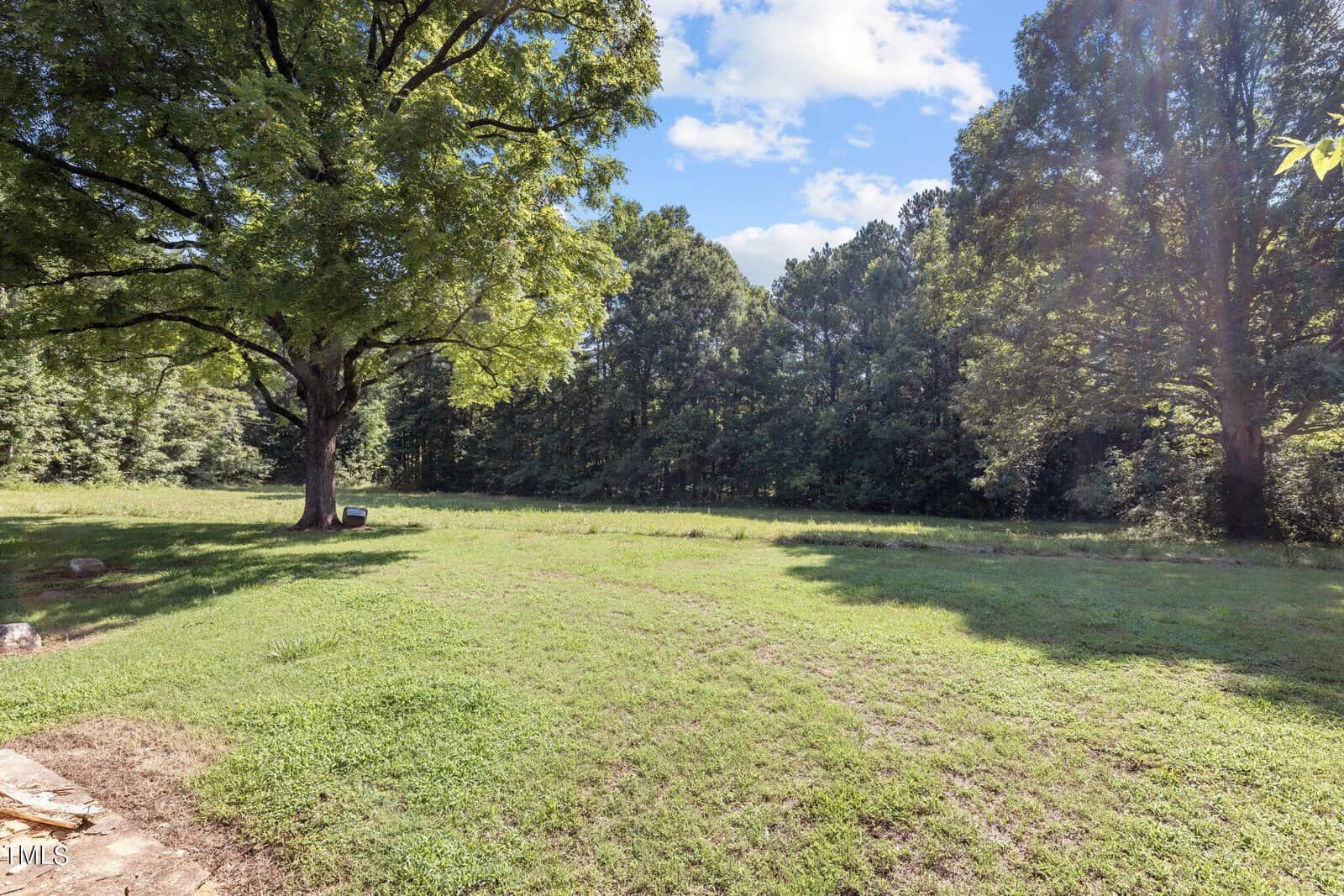 A serene landscape with a grassy field bordered by tall, lush trees under a partly cloudy blue sky. A large tree stands prominently on the left, casting a shadow on the ground.