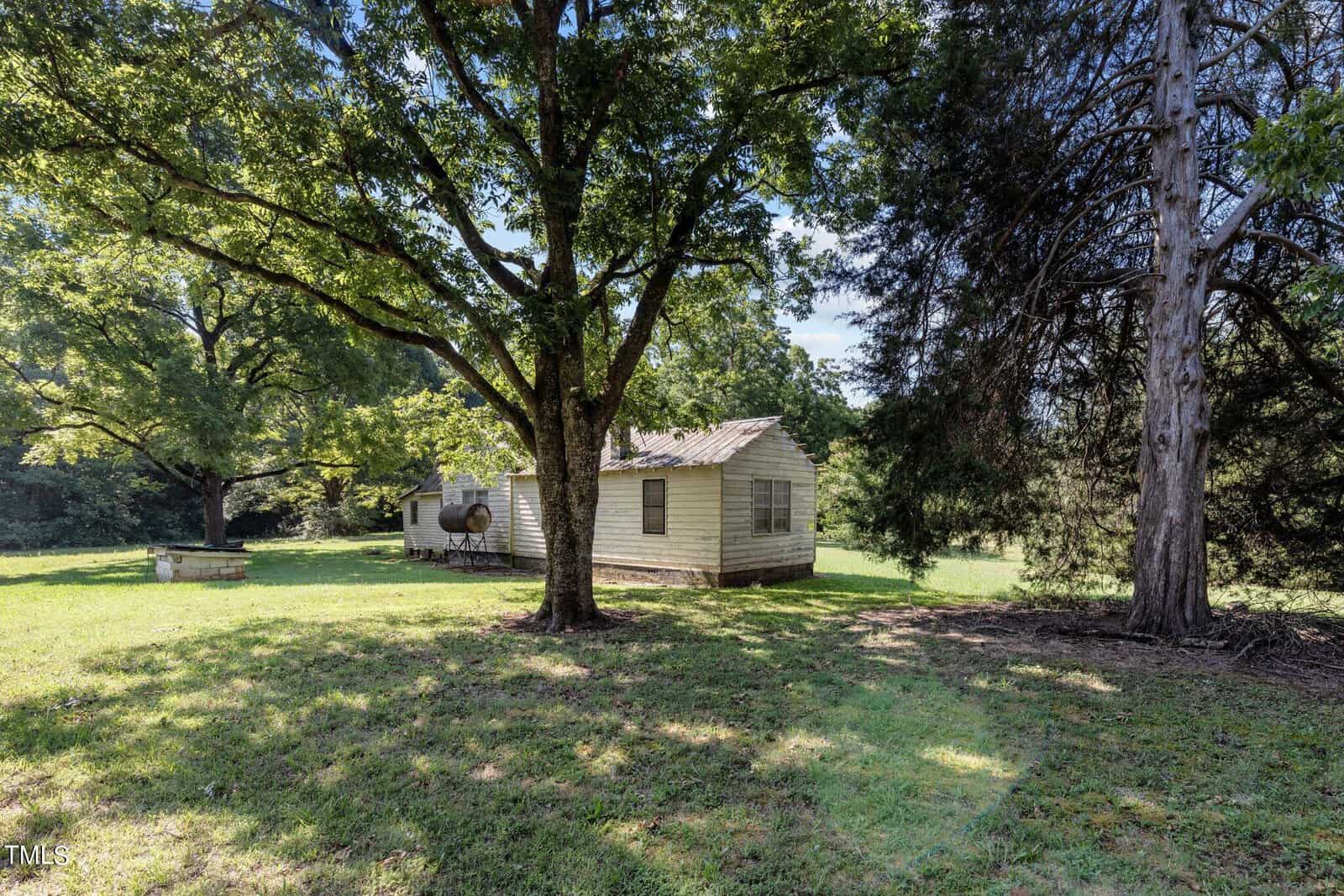 A small, weathered wooden house with a tin roof sits in a grassy, shaded area surrounded by large trees. Sunlight filters through the leaves, casting dappled shadows on the ground. A cylindrical tank is attached to the side of the house.
