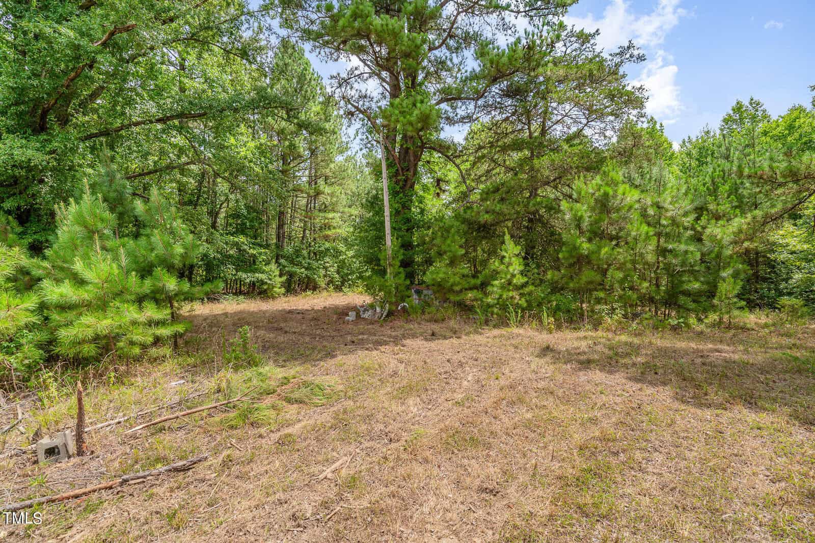 A small clearing in a dense forest with various green trees and shrubs. The area is grassy and appears recently mowed, with some brush and branches visible on the ground. The sky is partially visible, showing a bright, sunny day.