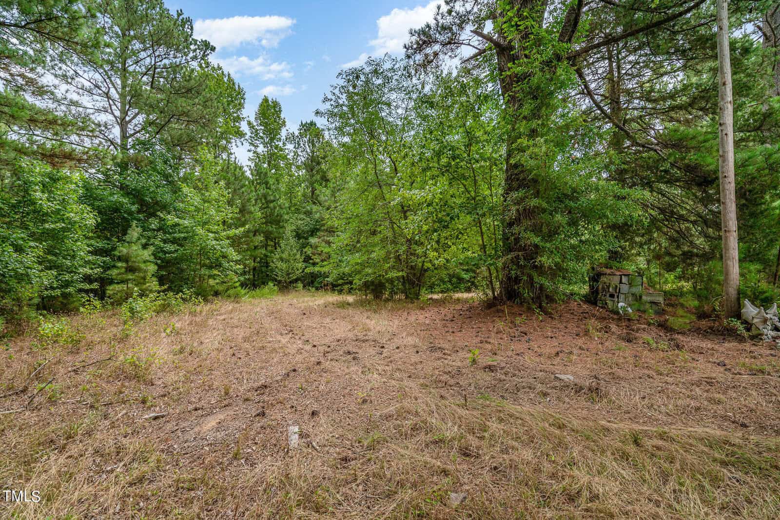 A dense forest scene with tall trees and lush greenery. The ground is covered in dry, brown grass. There is an overgrown, abandoned vehicle partially visible on the right side of the image. The sky is partly cloudy.