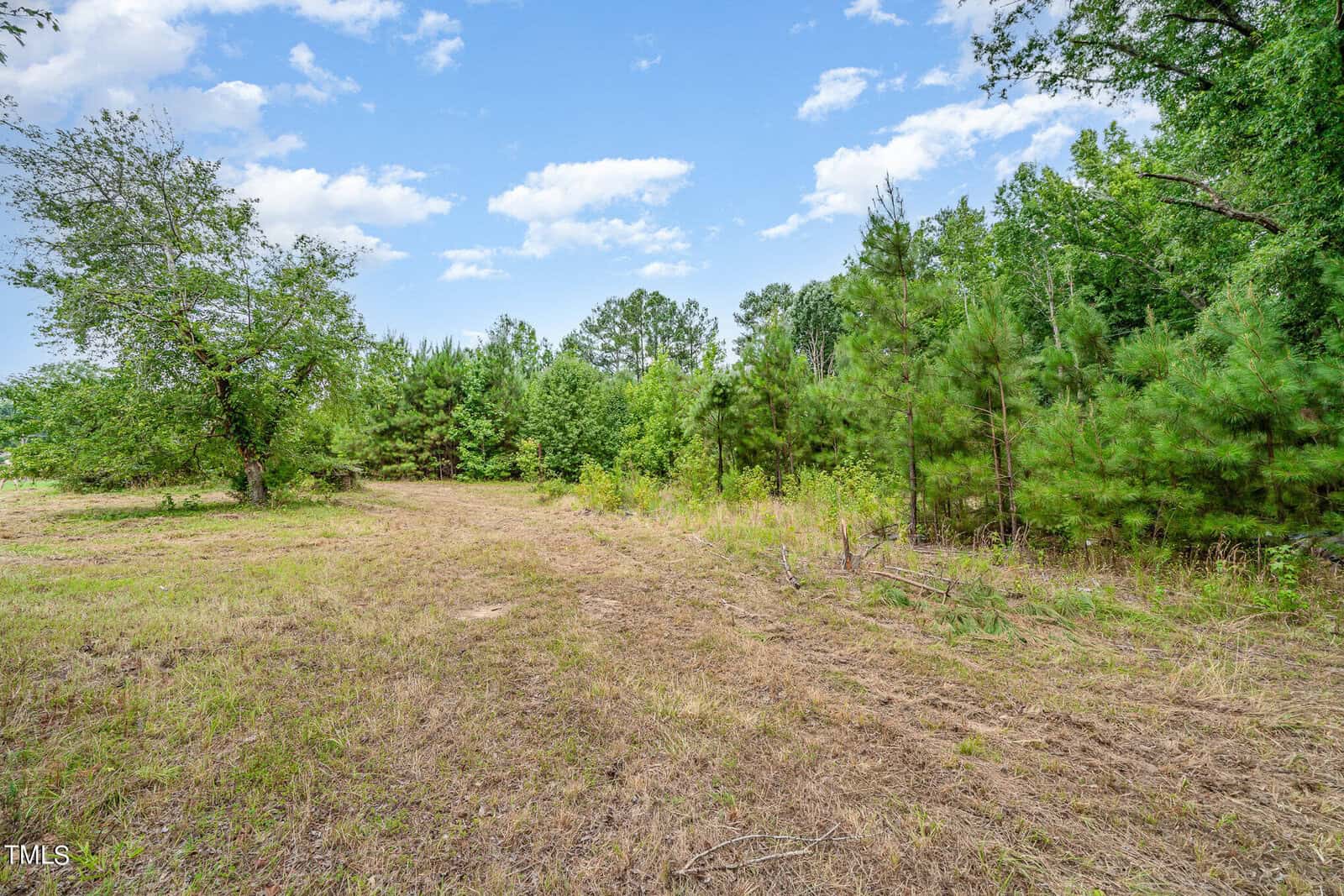 A grassy pathway leads through a lush, green forest with a clear blue sky overhead. Tall trees line the sides of the path, and a few scattered clouds add texture to the sky. The scene is serene and natural.