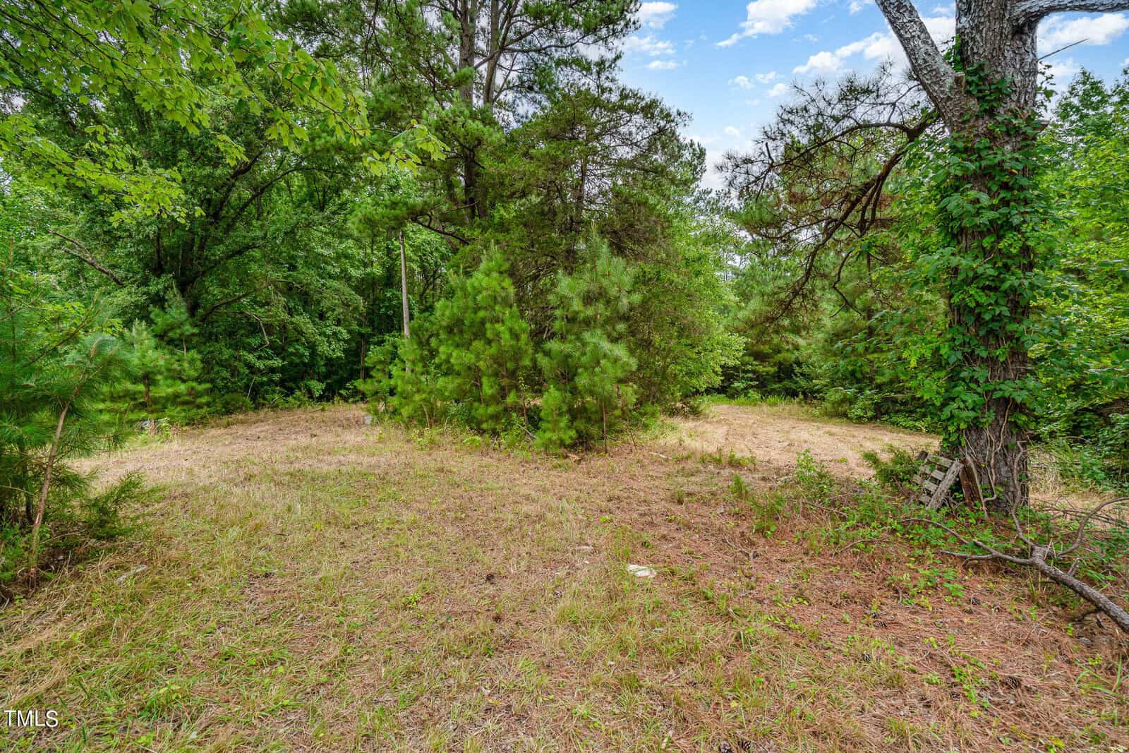 A small, grassy clearing surrounded by trees under a blue sky with scattered clouds. The area is filled with various shades of green from the foliage, creating a serene, nature-filled atmosphere.